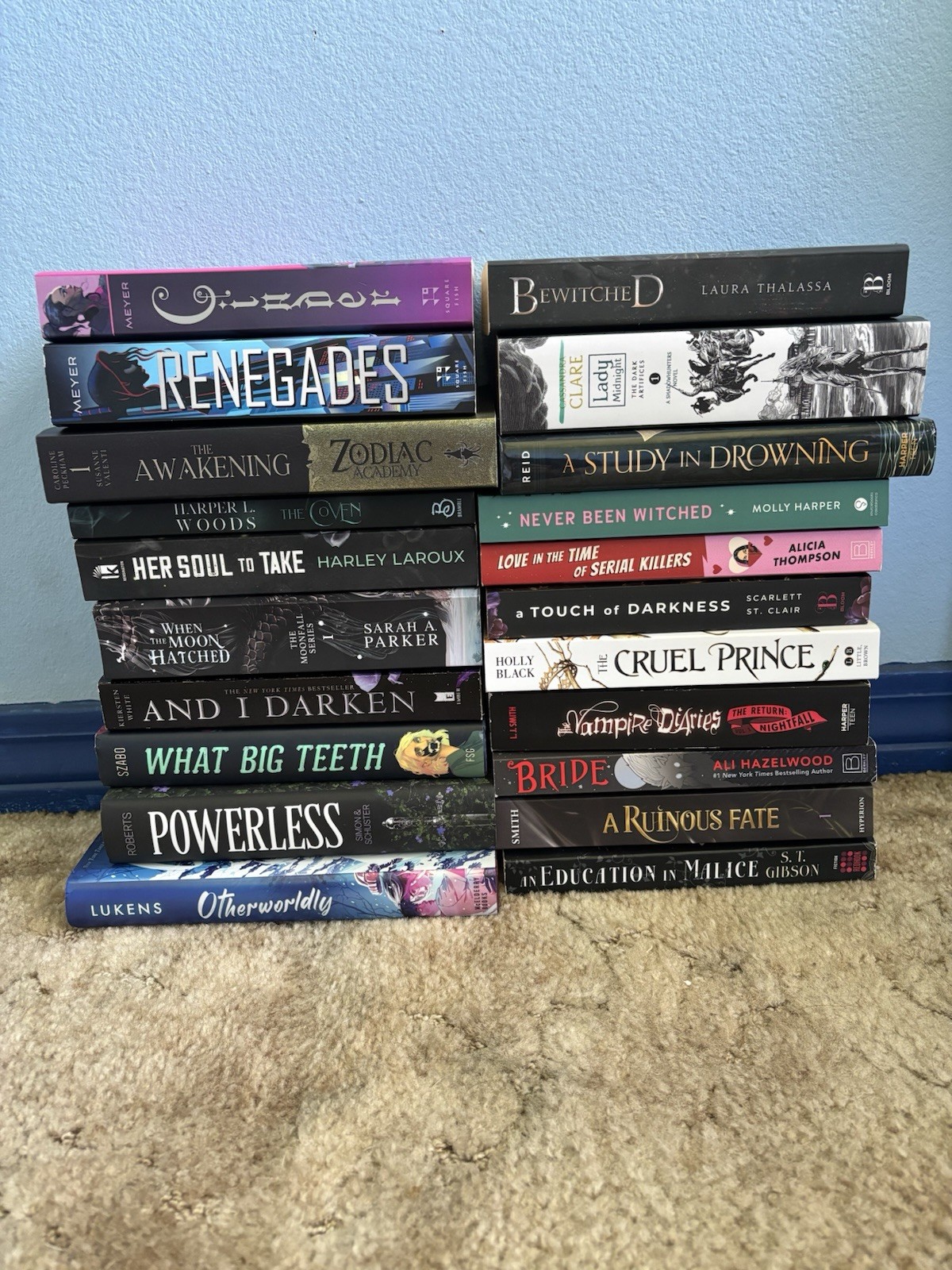 BookTok YA Fantasy Romance 21 Book Lot Ali Hazelwood Holly Black Marissa Meyer