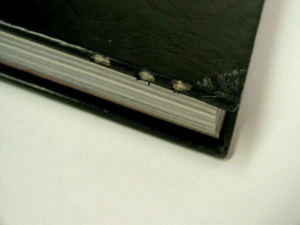 „The Last Word“ 2002 Frederick High School Yearbook – Md – Maryland – 350 Pages!