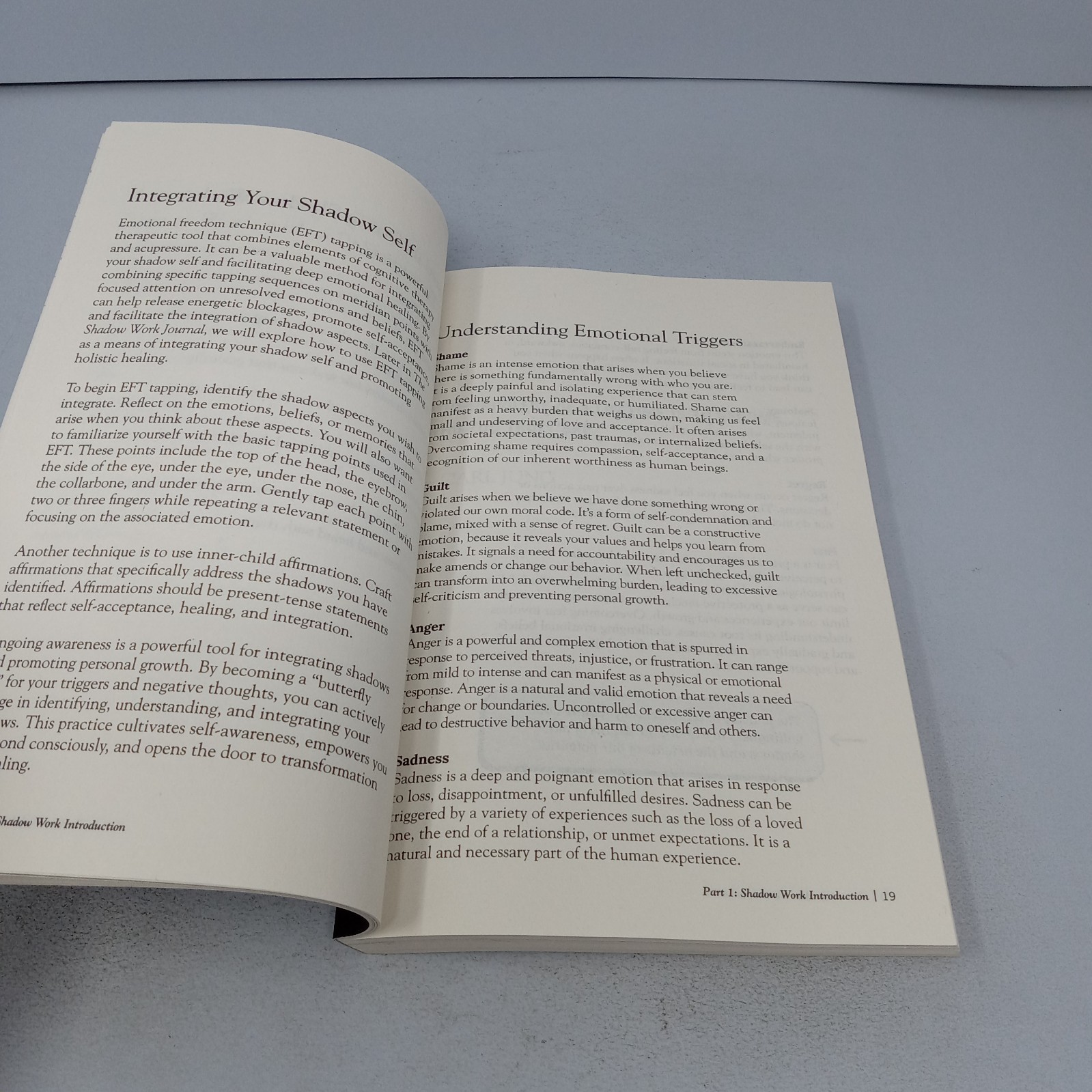 The Shadow Work Journal: 2024 Primero Sueño Press Paperback by Keila Shaheen