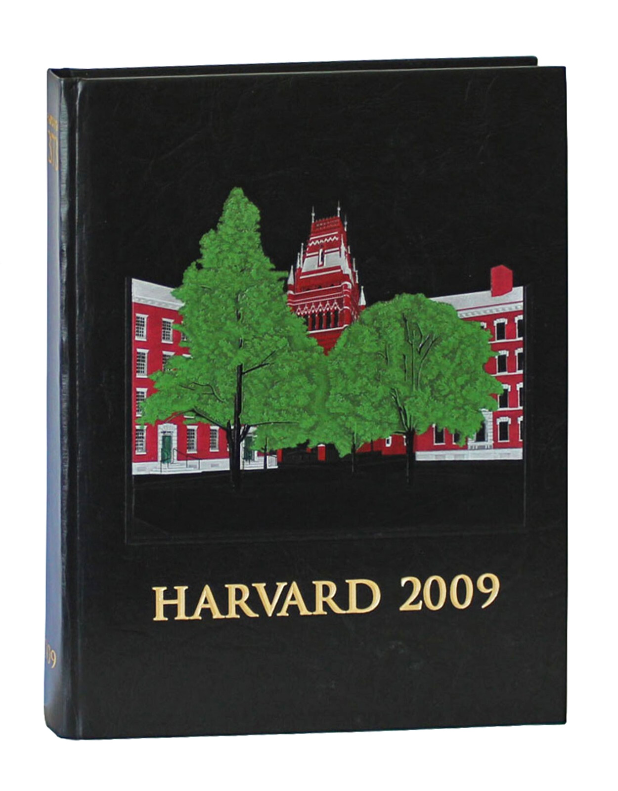 2009 Harvard University Yearbook Number 373 Harvard College Cambridge MA