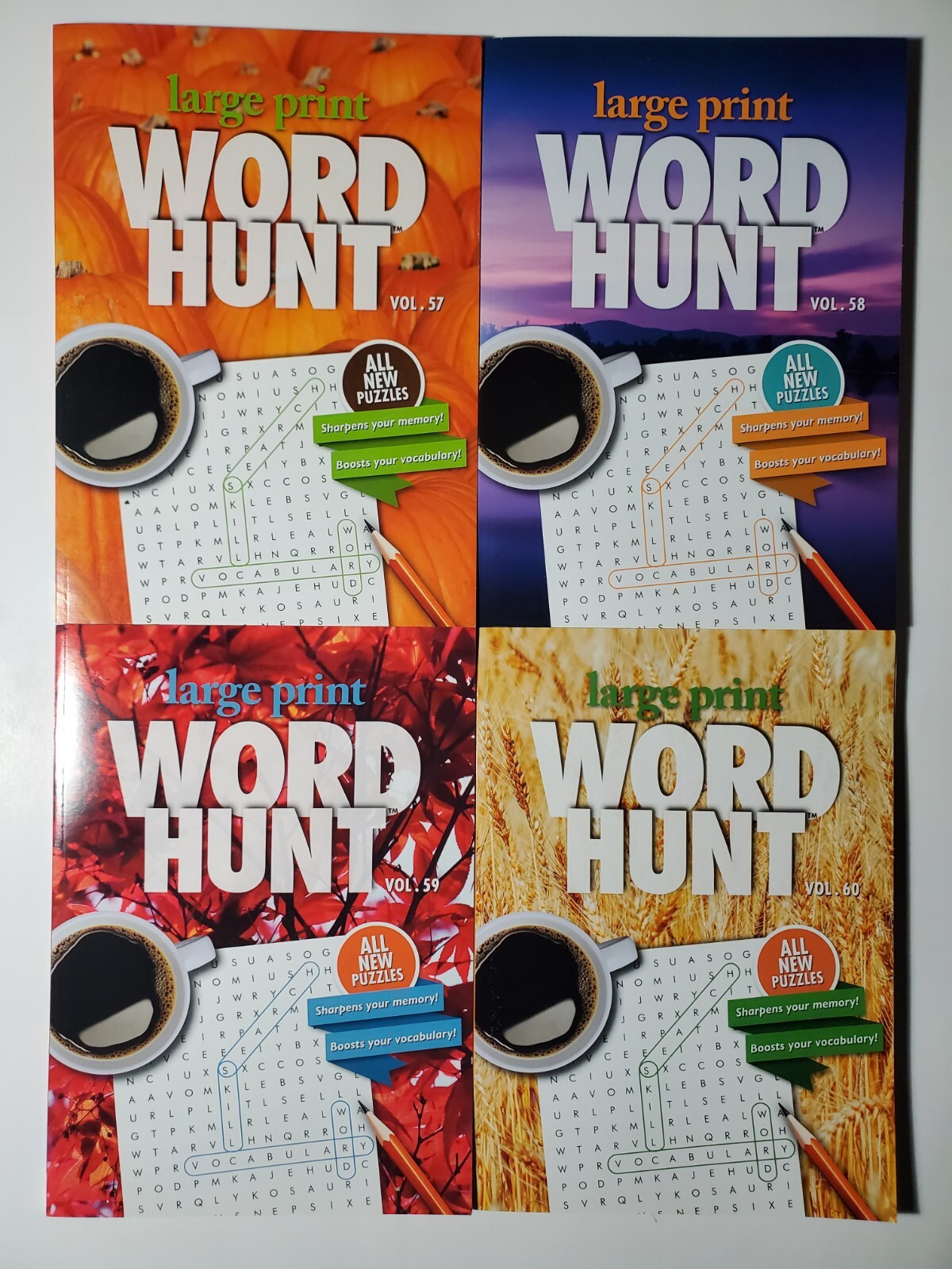 Large Print Word Hunt Puzzle Books Papp Search,Find,Game,Hobby Pick up to 20Vols