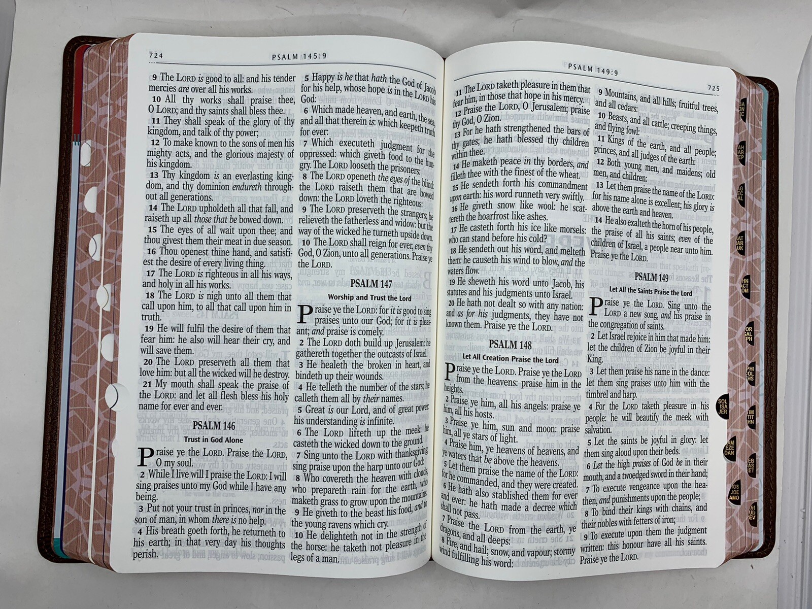 KJV Kids Bible, LARGE PRINT 40 Pages Full Color Study Helps, Presentation INDEX