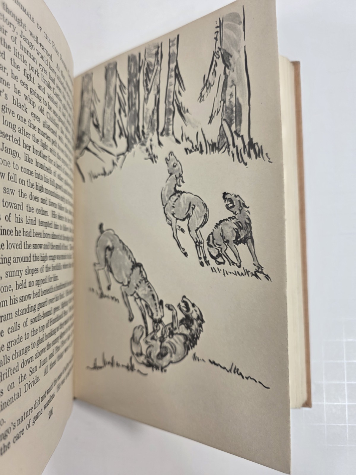 Wild Animals of the Five Rivers Country George Franklin 1947 Mary Ogden Abbott