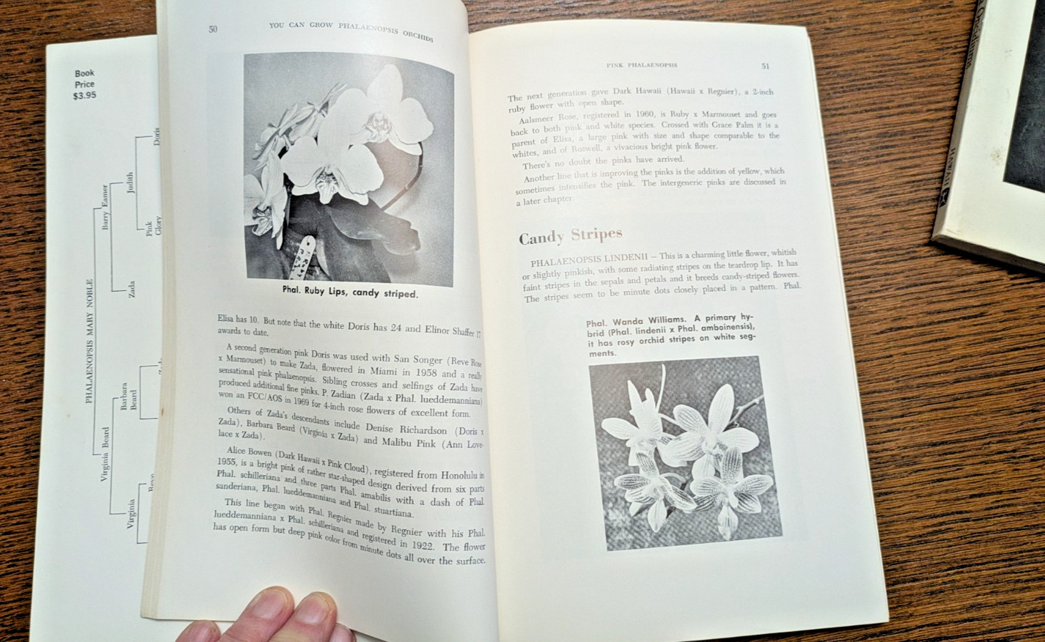 Creating/Growing Orchids – 4 TPB by May A. Moir/W. W. Moir and Mary Noble