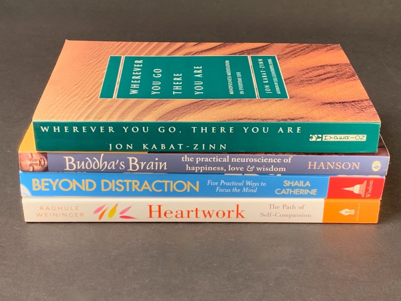 Mindfulness Meditation – Lot of 4 – Jon Kabat-Zinn, „Buddha‘ Brain“ – Softcover