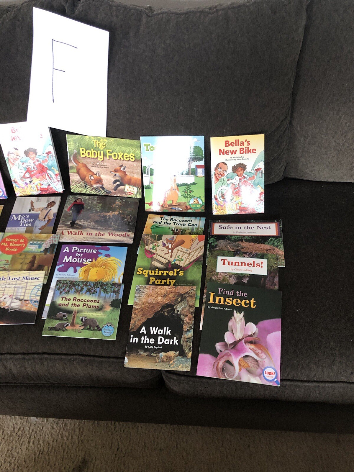 First Grade Reading Books — HOME SCHOOL — Grade 1 Like New 10 Different $15