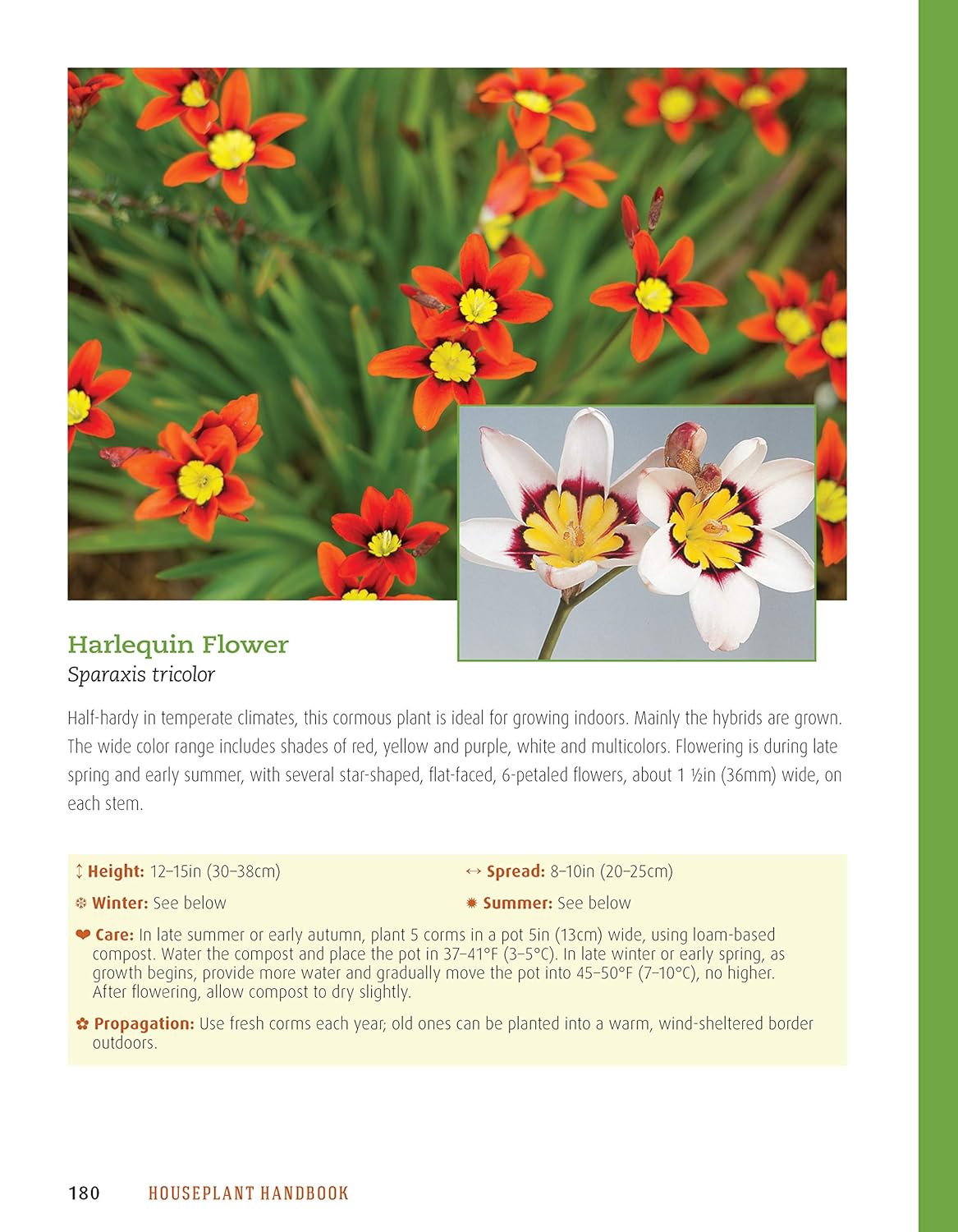 Houseplant Handbook: Basic Growing Techniques and a Directory of 300 Everyday Ho