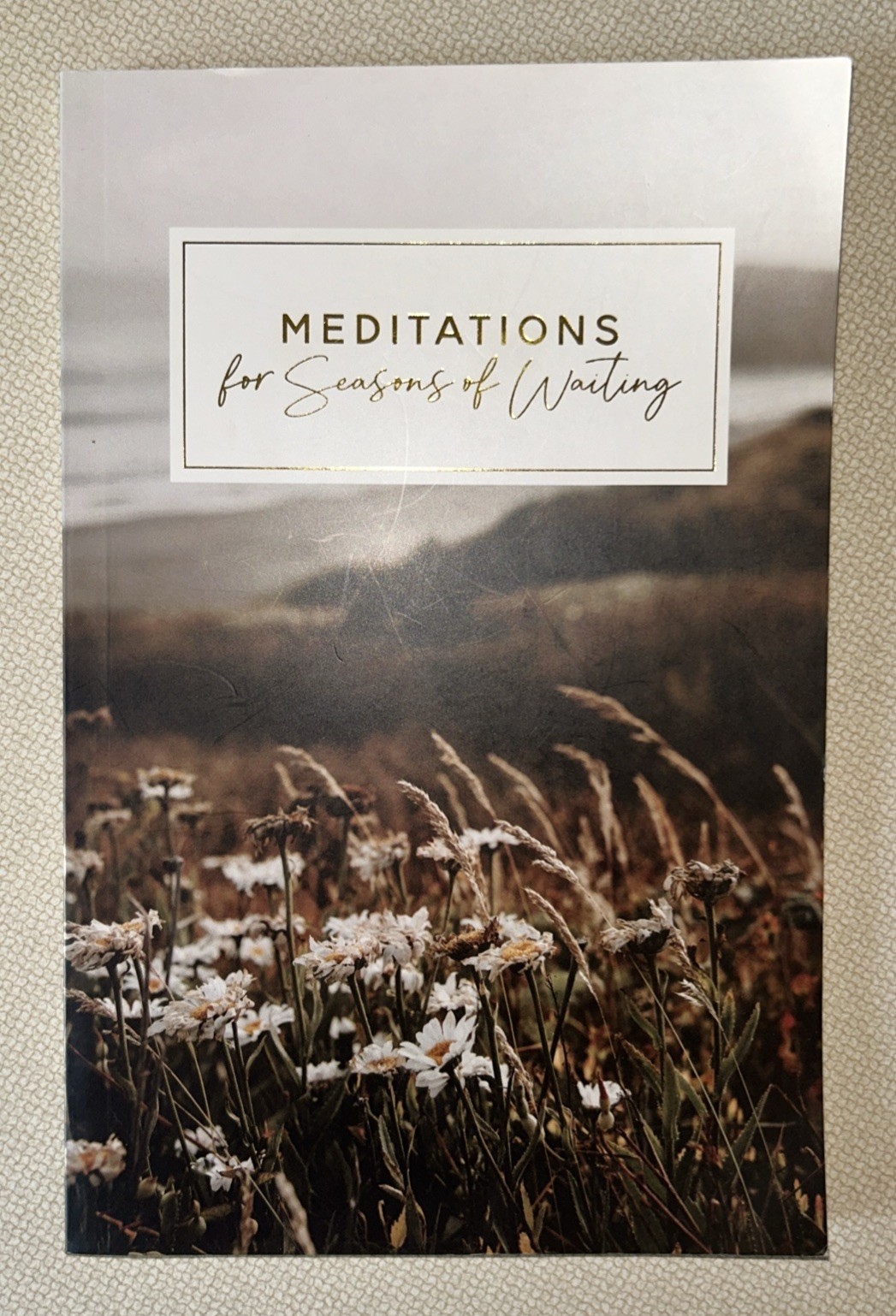 The Daily Grace Co. Meditations for Seasons of Waiting (New)