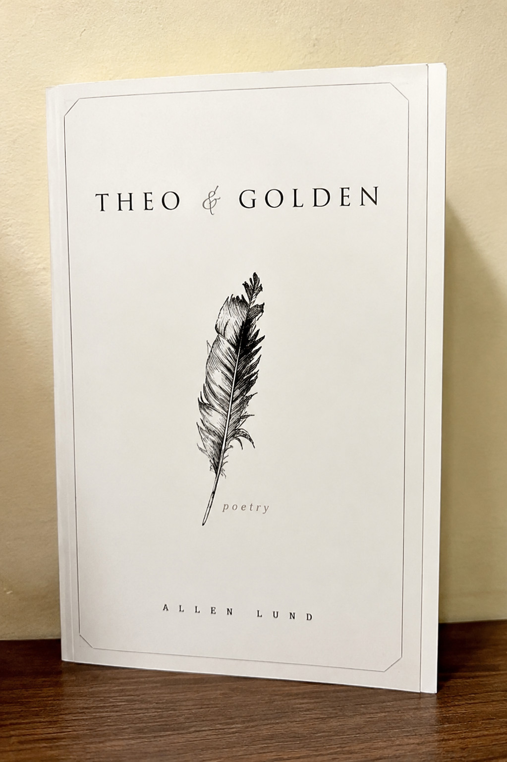 Theo of Golden Paperback by Allen Levi New book