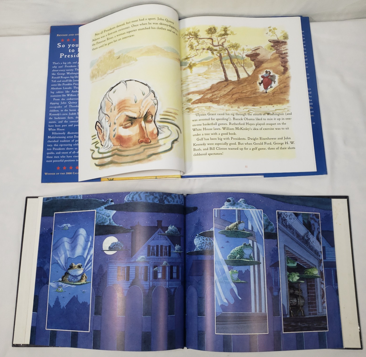 Caldecott Kids Picture Books Lot 10 Homeschool Classroom Library Award Winners