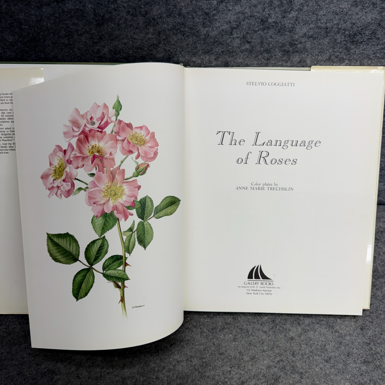Language of Roses 1986 Stelvio Coggiatte Color Illustrations HC Illustration