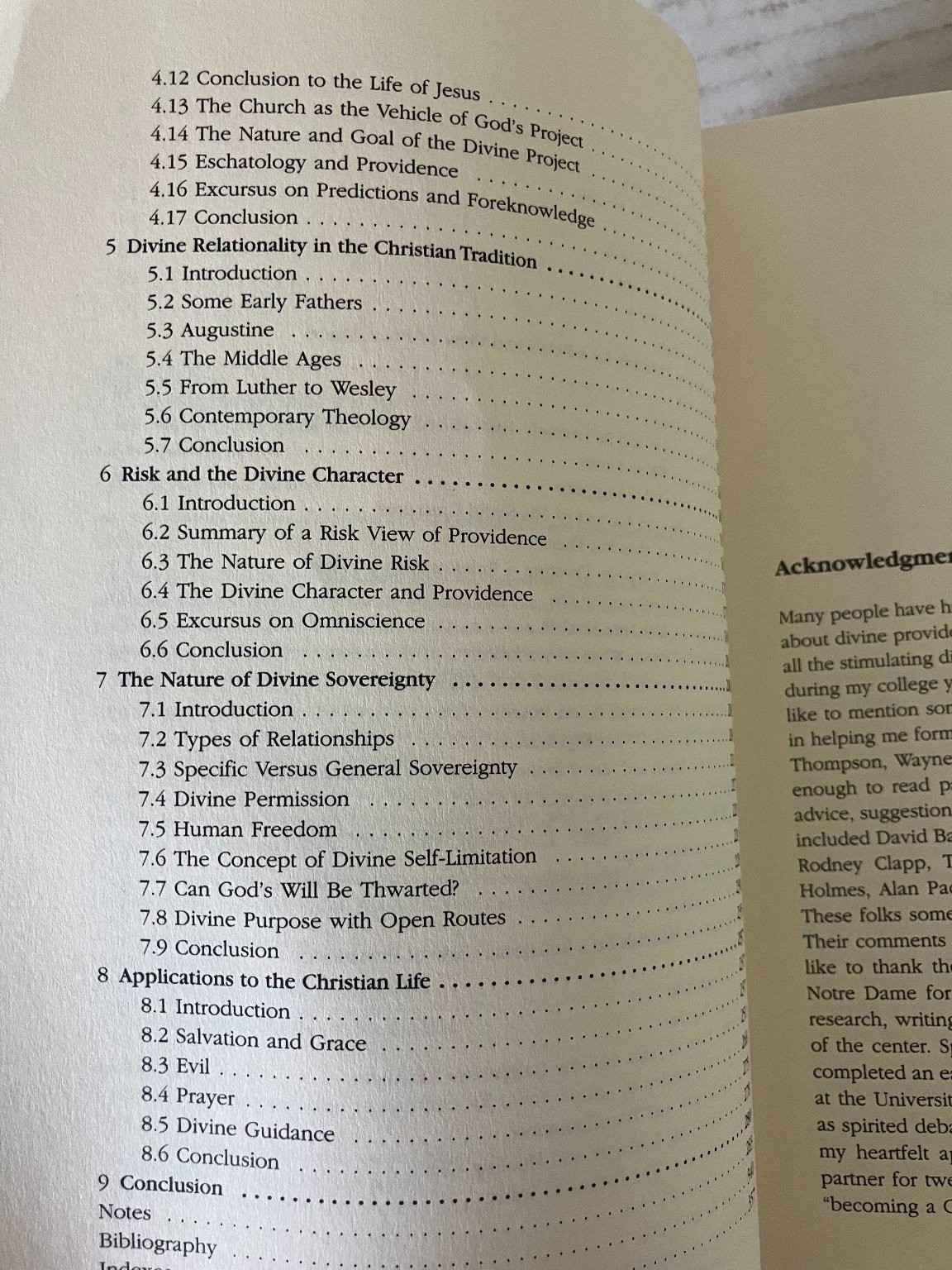 The God Who Risks John Sanders 1998 Theology of Providence InterVarsity Press