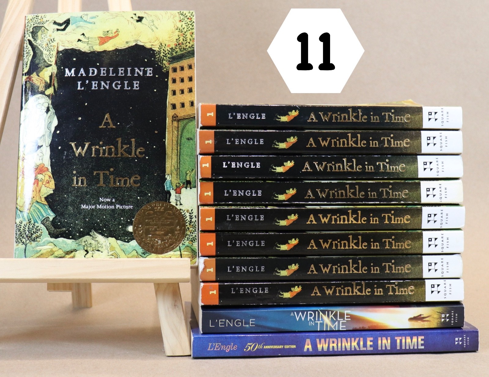 Lot of 11 A Wrinkle In Time by Madeleine L’Engle GUIDED READING Teachers Set