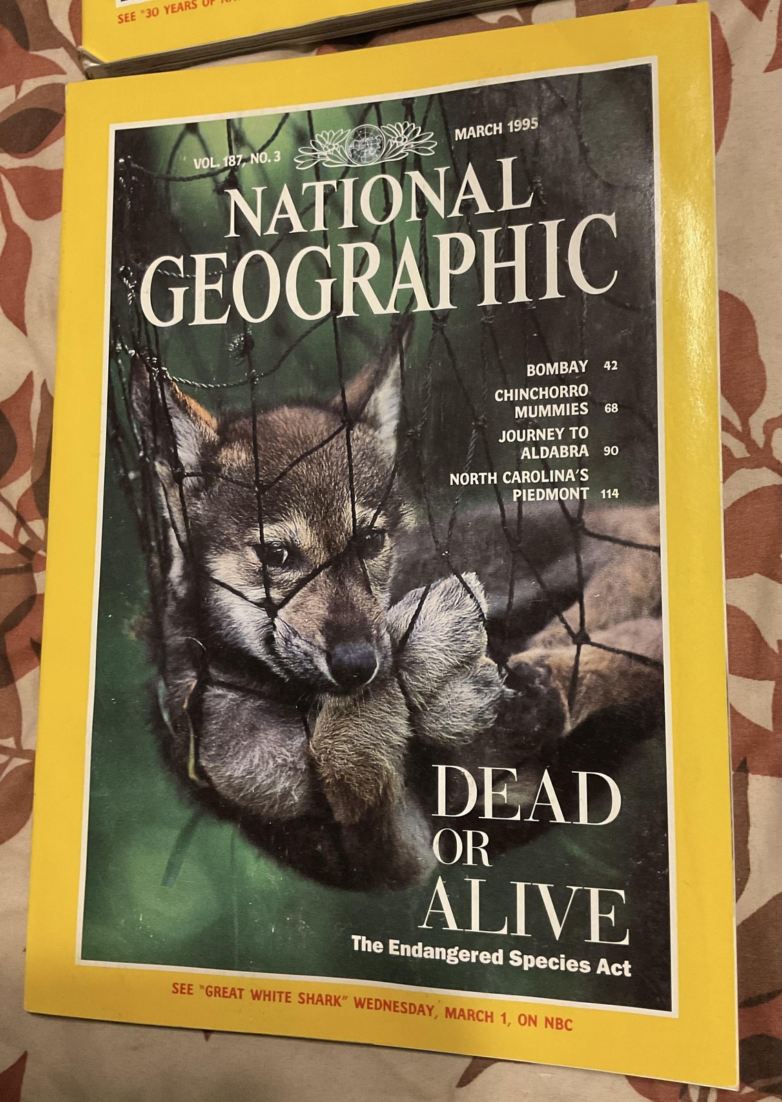 Vintage National Geographic Magazine Lot 4 Mags 1995 Jan Apr Gray Sharks Saigon