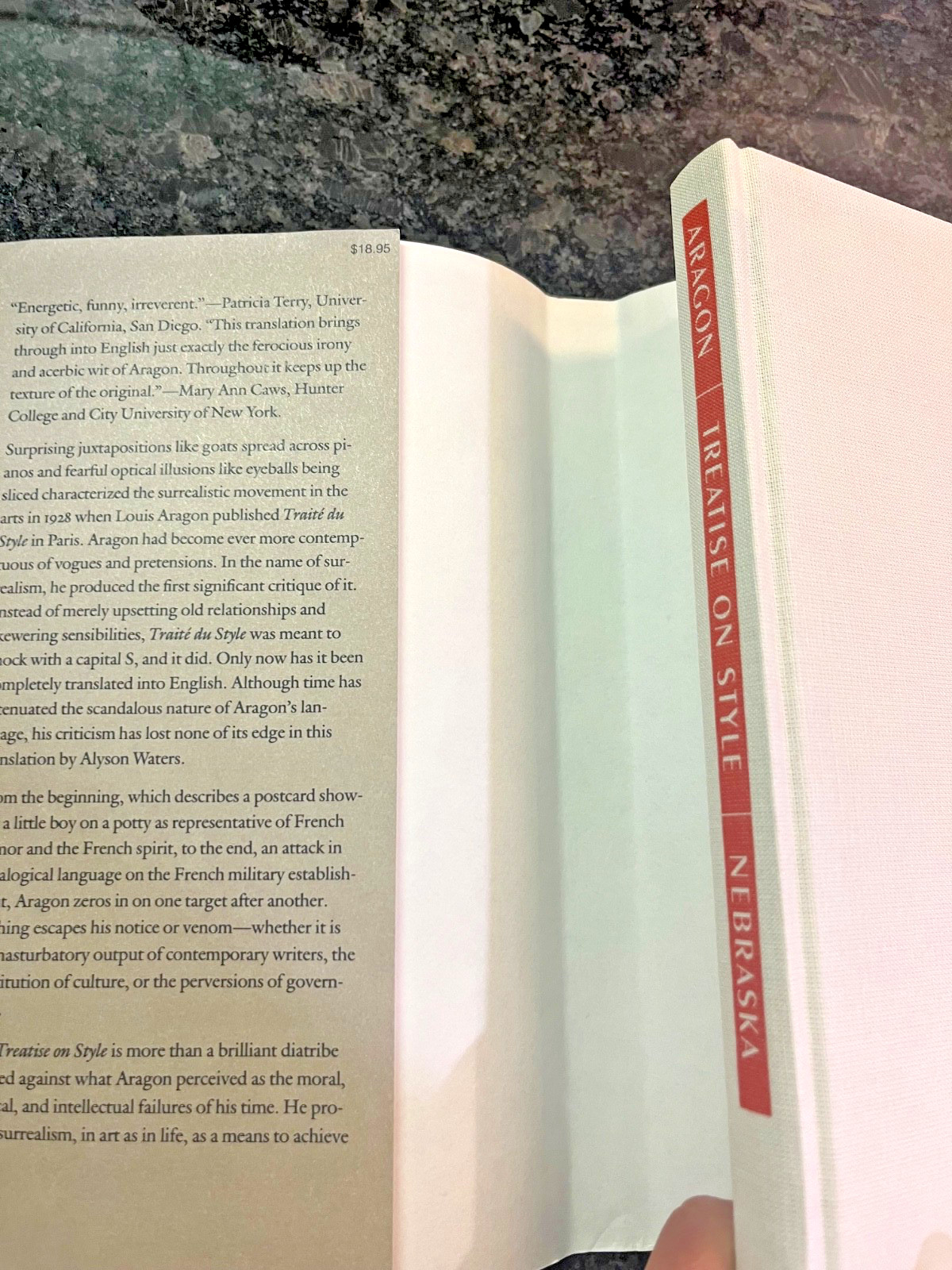 Book Hard Cover – Treatise on Style – by Louis Arago [MINT]