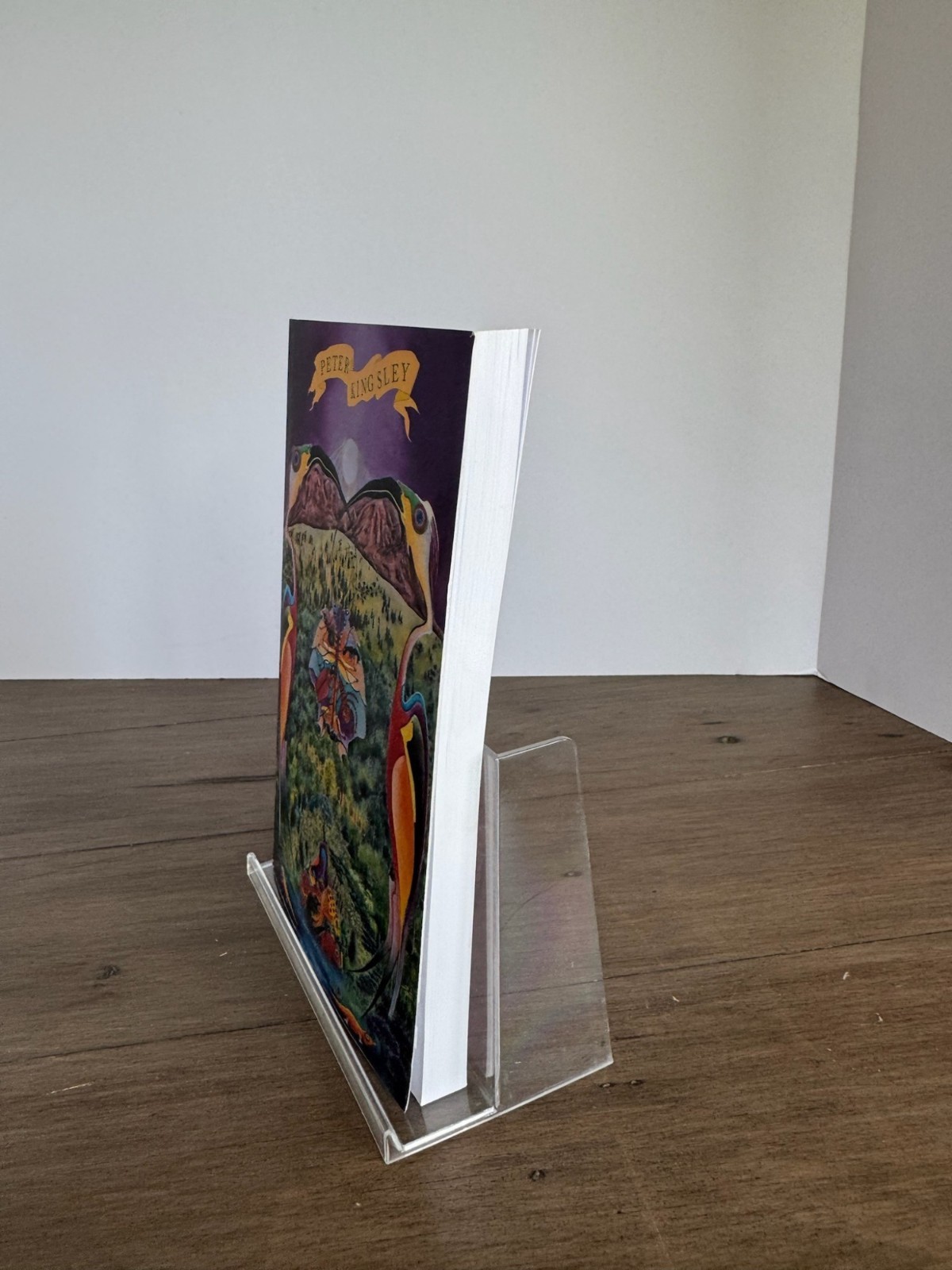 A Book Of Life By Peter Kingsley Paperback 2021 8.25×5.5 Inches