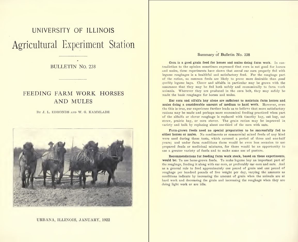 329 BOOKS – Horses – Equestrian Stallion Mare Gallop Bridle Hoof Jockey – CD/DVD