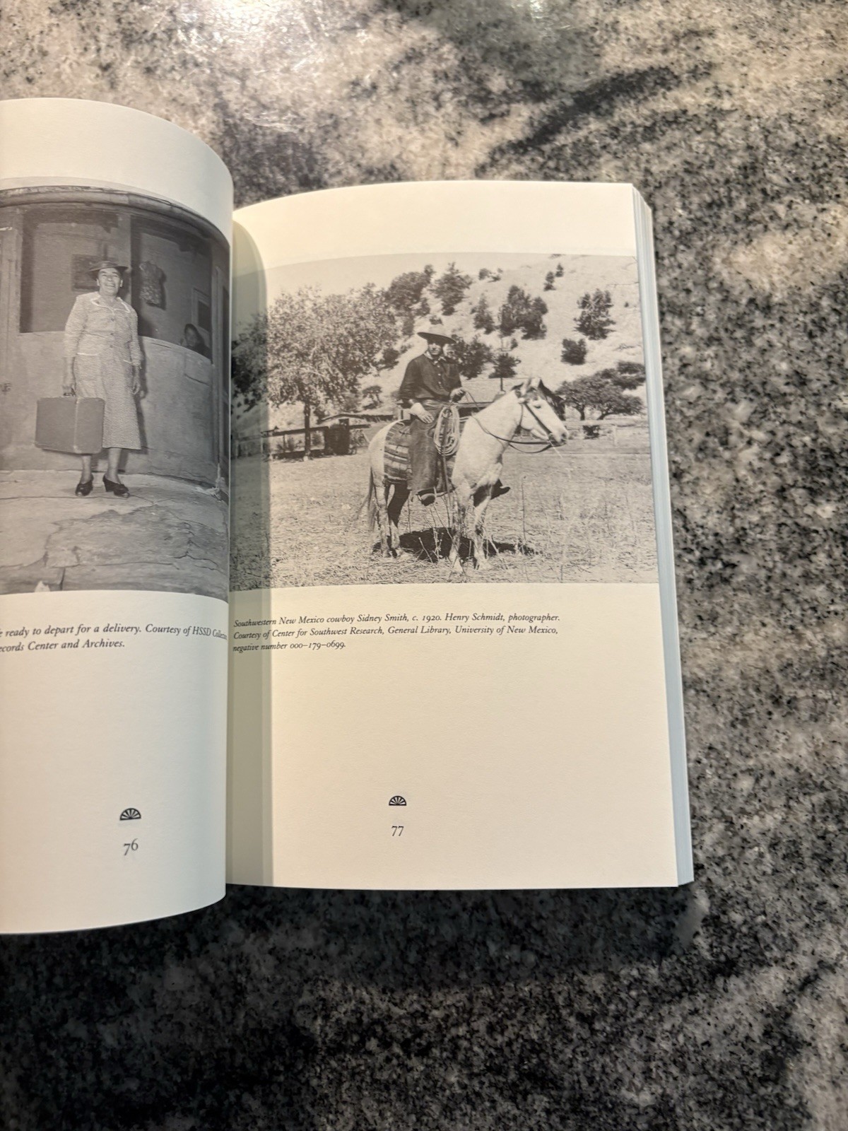 Essays In New Mexico 20th century A History Book Paperback Gift for Readers