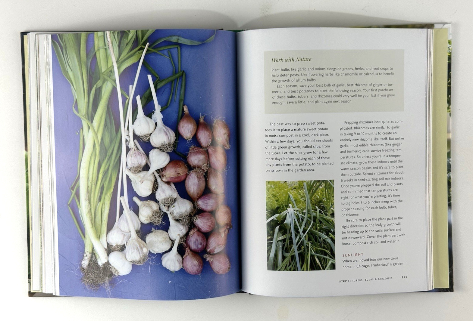 Leaves, Roots & Fruit : A Step-By-Step Guide to Planting an Organic Garden 2023