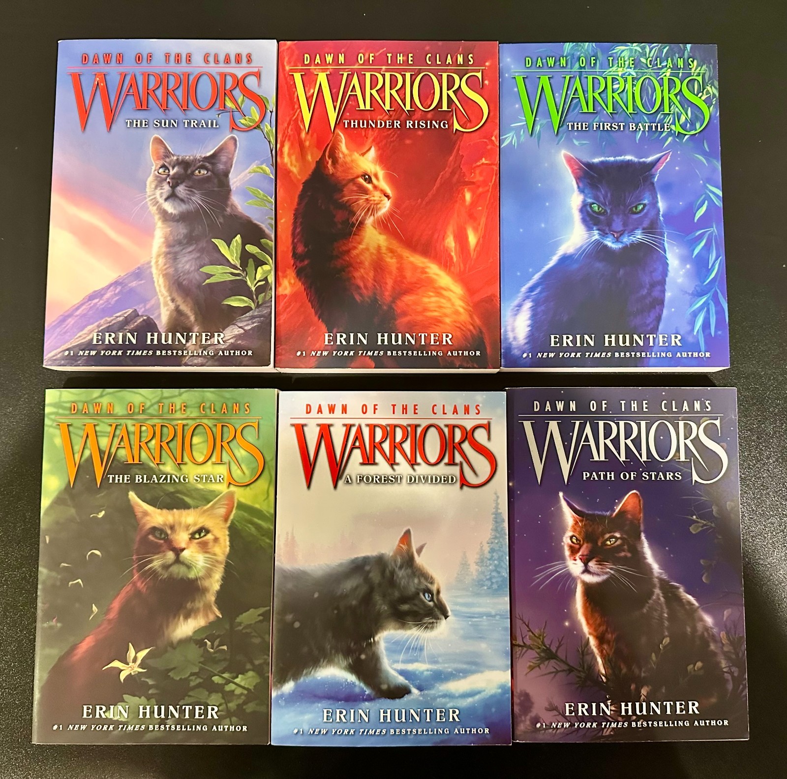 Warriors: Dawn of the Clans Complete 5th Book Series Volumes 1-6 by Erin Hunter