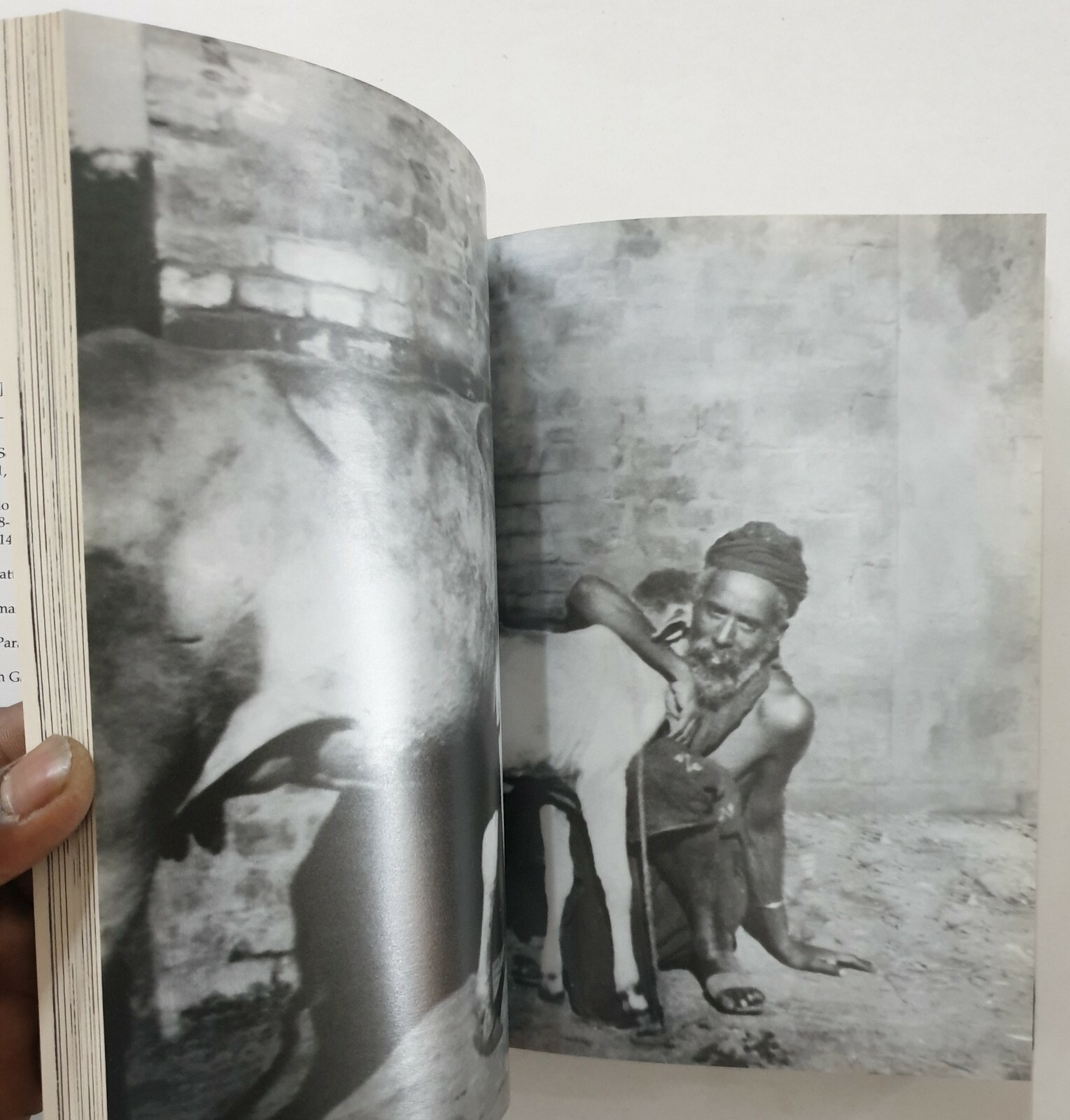 Singh, Patwant: Garland Around My Neck. Story Of Puran Singh Of Pingalwara. 2001