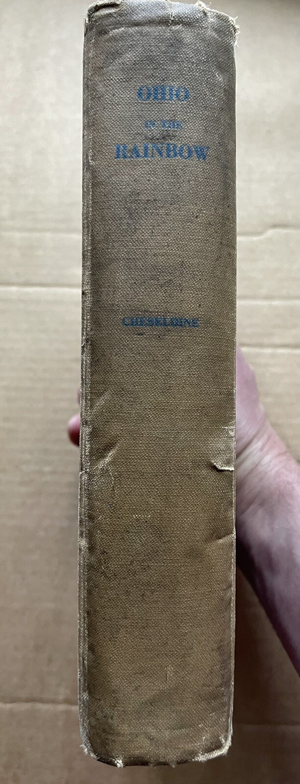 OHIO IN THE RAINBOW US ARMY 166th INFANTRY REGT 42nd DIVISION WWI HISTORY BOOK