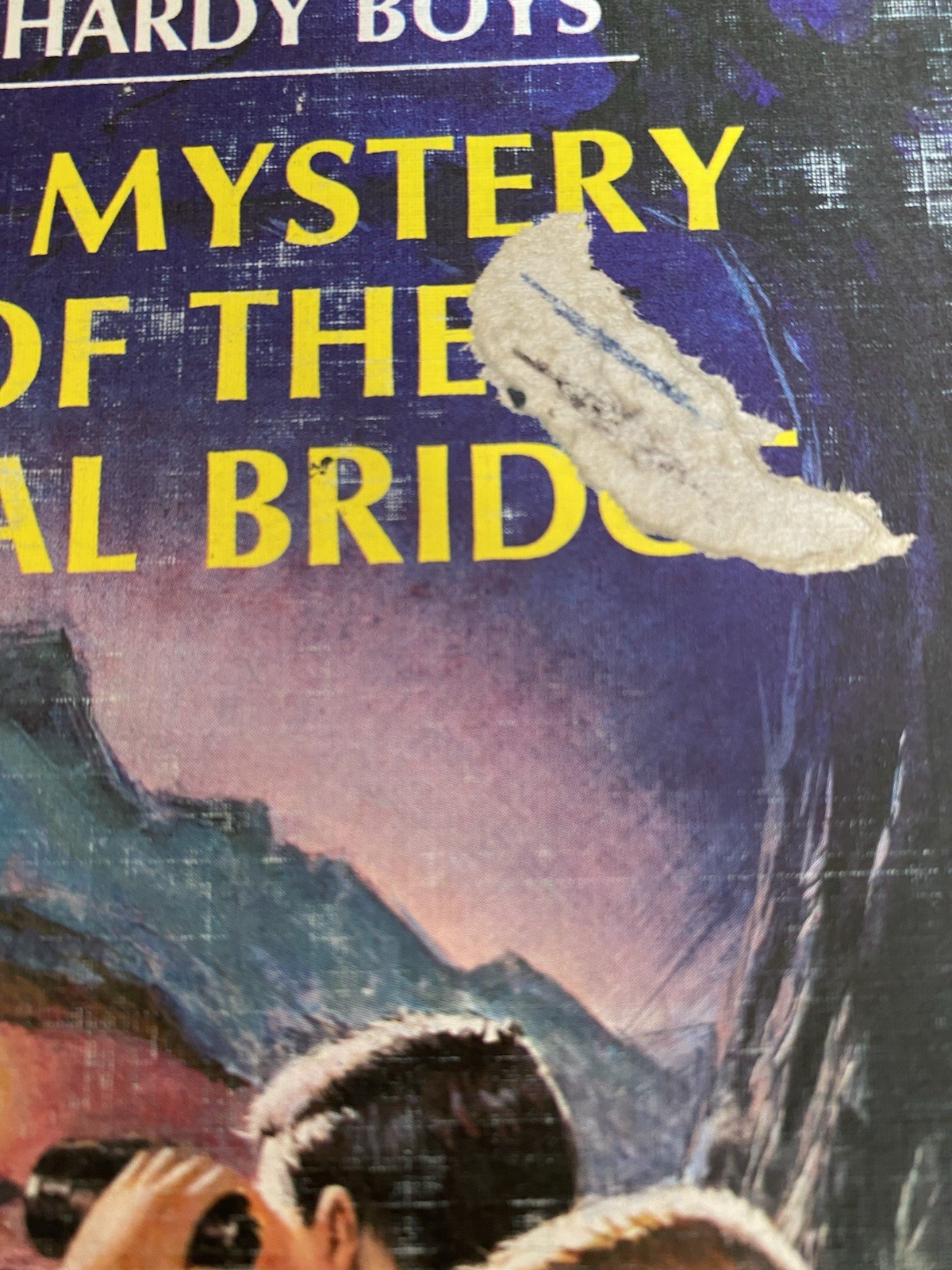 The Hardy Boys Matte Covers 1930’s-1970’s Huge Lot Of 38- No Duplicates Good