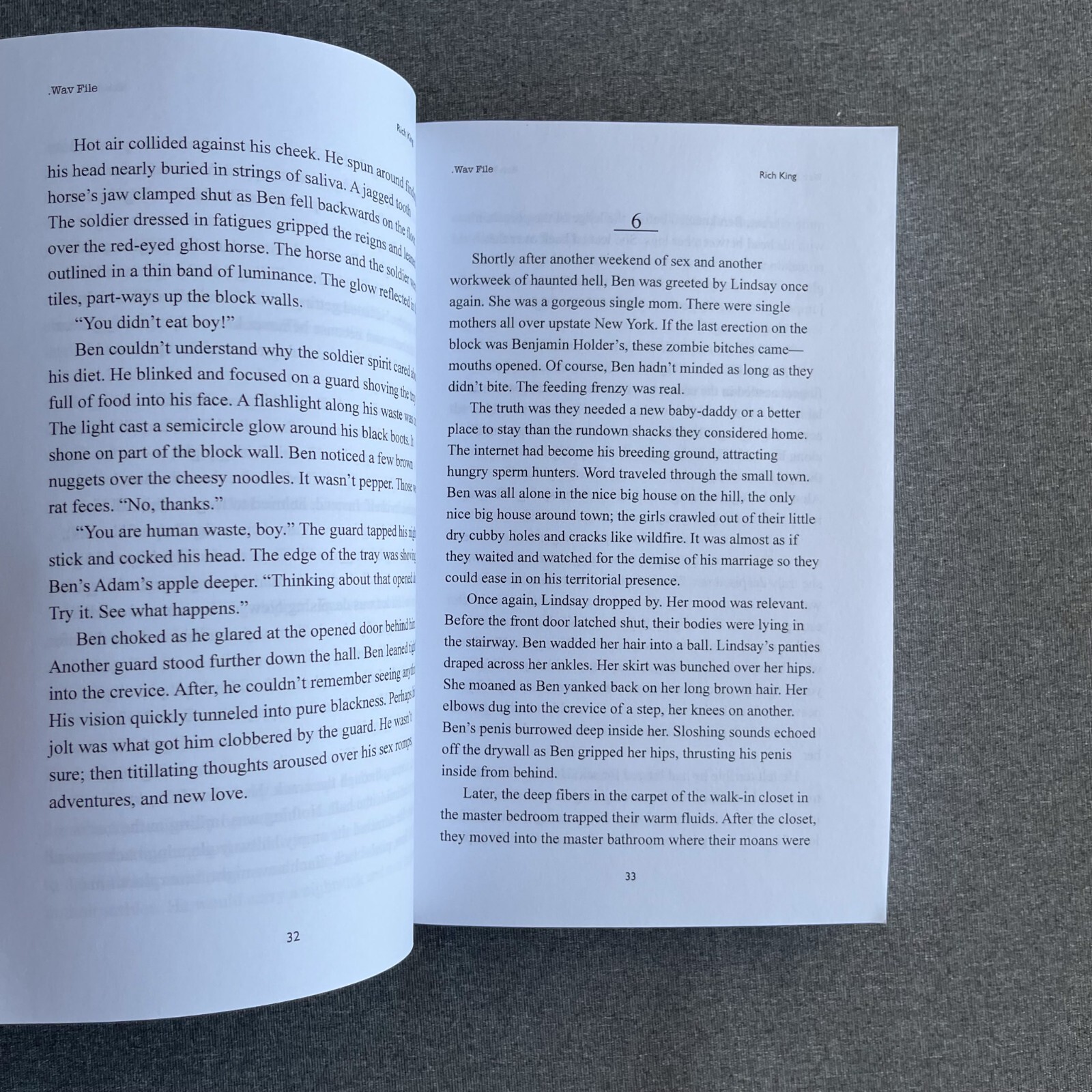 Wav File Paperback – February 2, 2021 by Rich King
