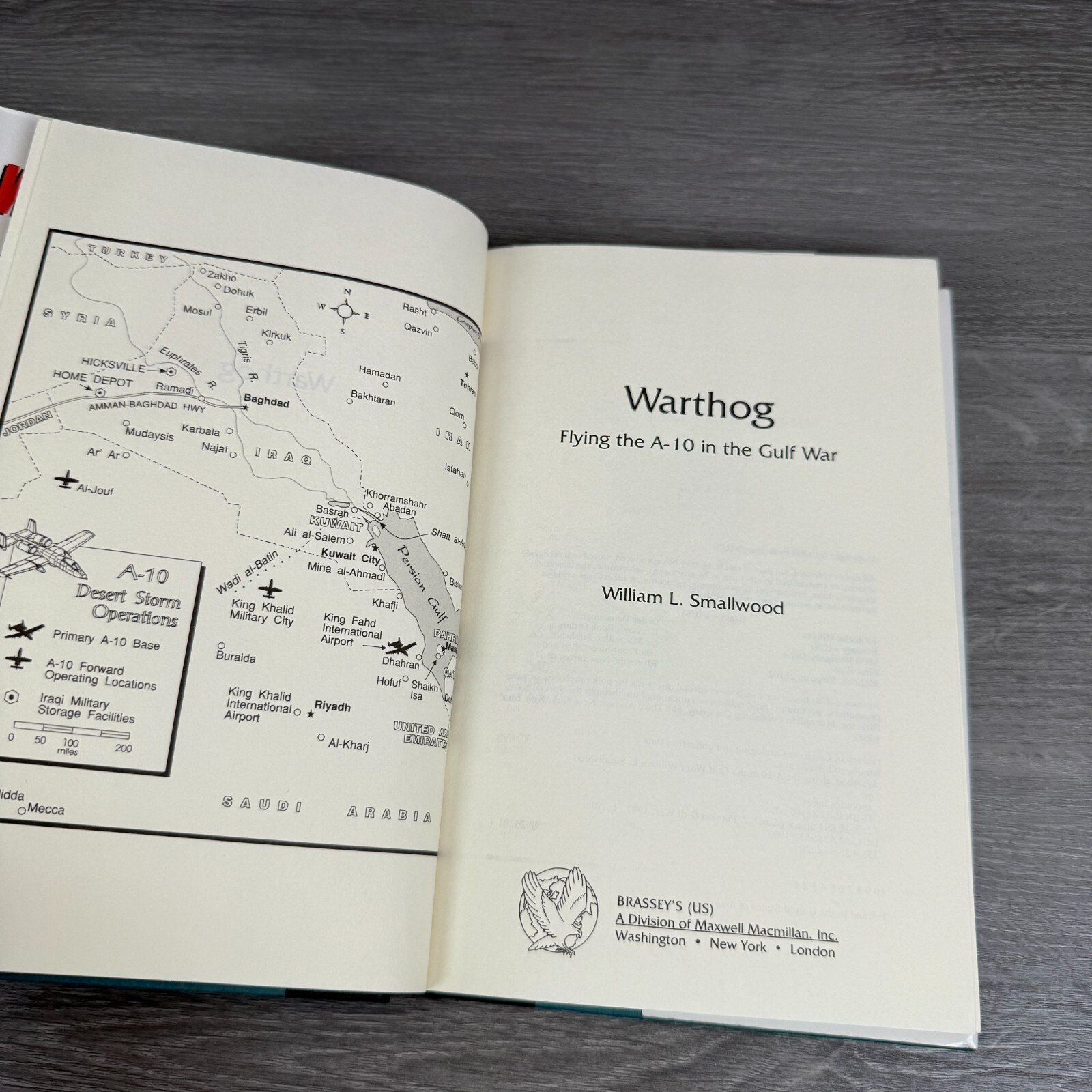 Warthog Flying the A-10 in the Gulf War Vtg HC 1993 Book by William L Smallwood