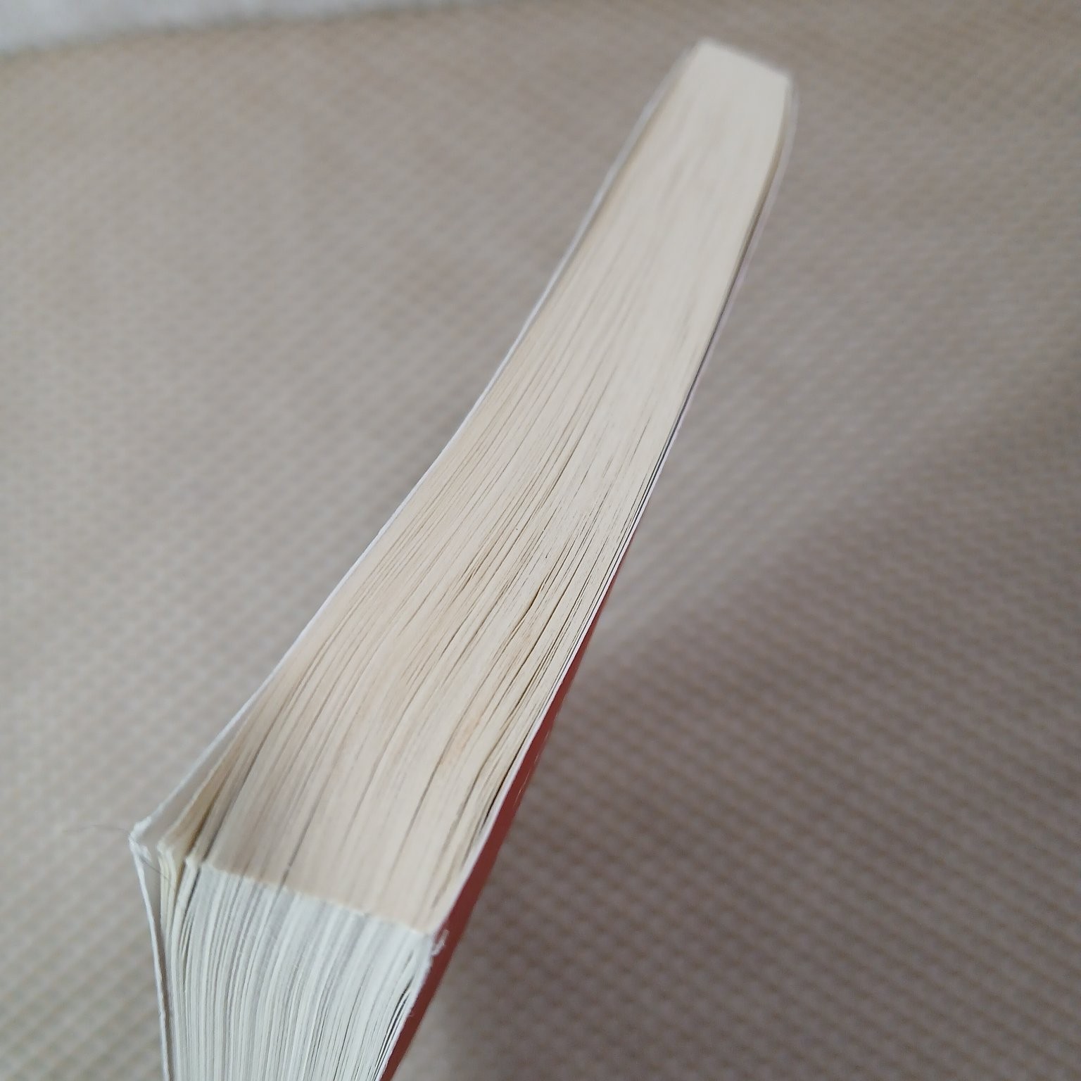Why Do I Do What I Don’t Want To Do? Pokluda 2023 1st Print Inscribed Christian