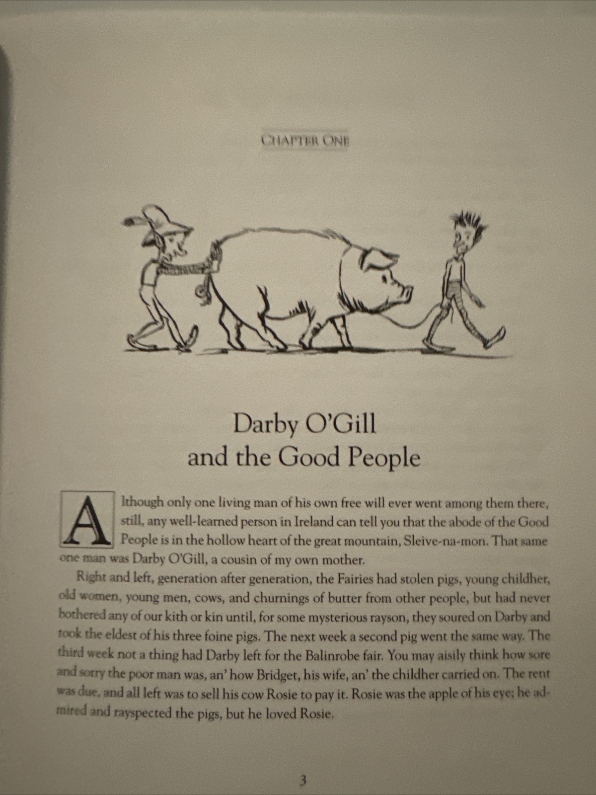 Darby O’Gill and the Good People by Herminie Templeton Kavanagh (2002, Trade…