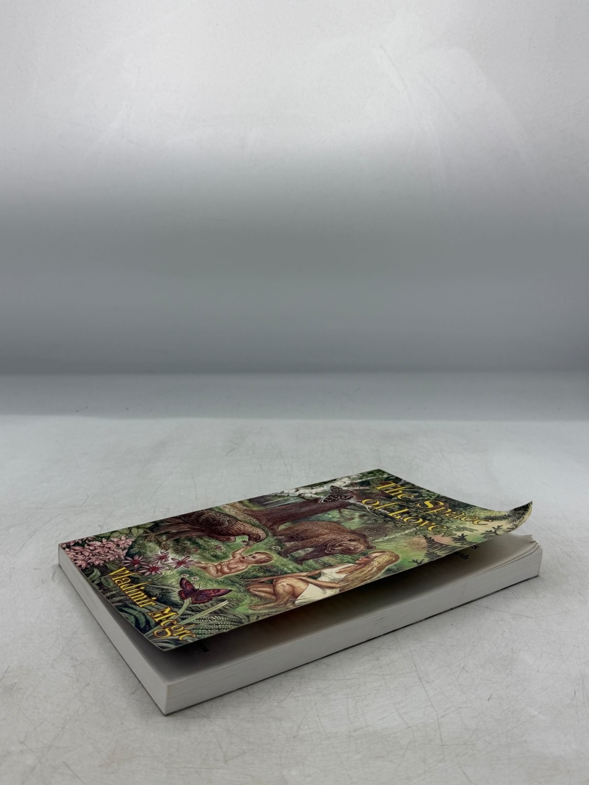 The Space of Love Vladimir Megre 2005 First Edition Ringing Cedars Press