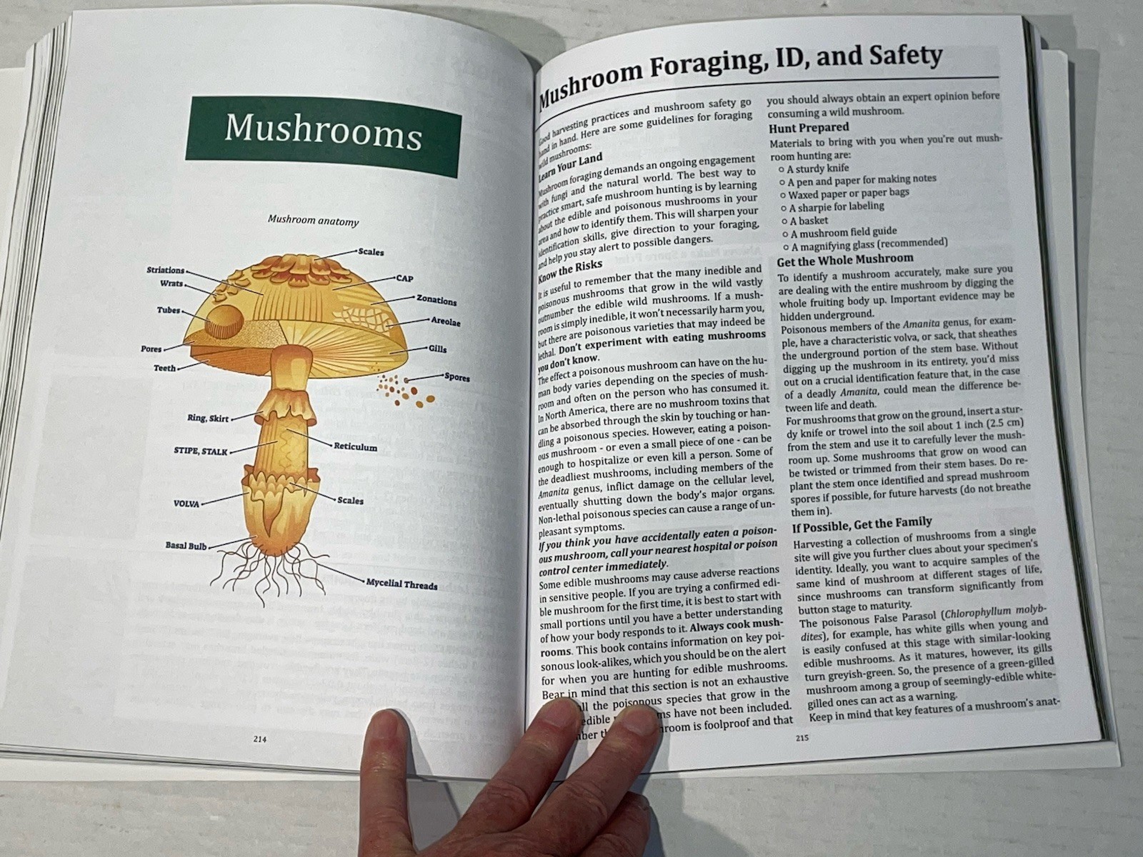 The Forager’s Guide to Wild Foods Book By Nicole Apelian, 2021 North American Ed