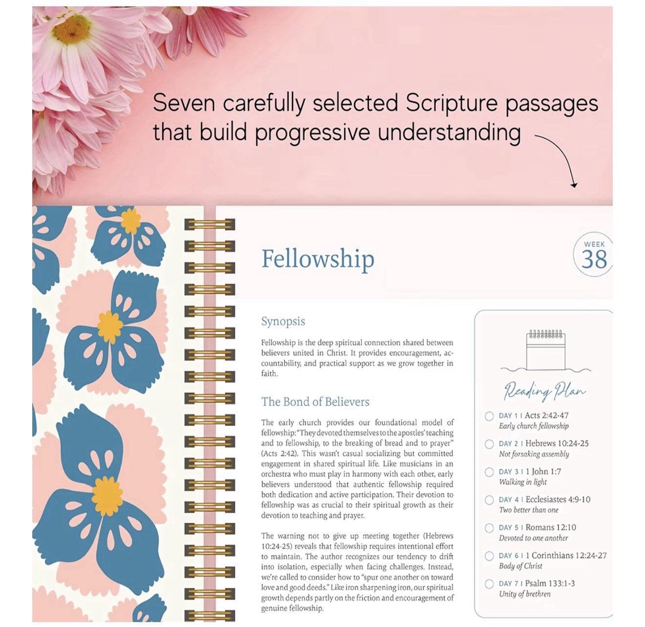 Official Spiral Bible® The Bible in a Year | 52 Week Guided Bible Study – NEW