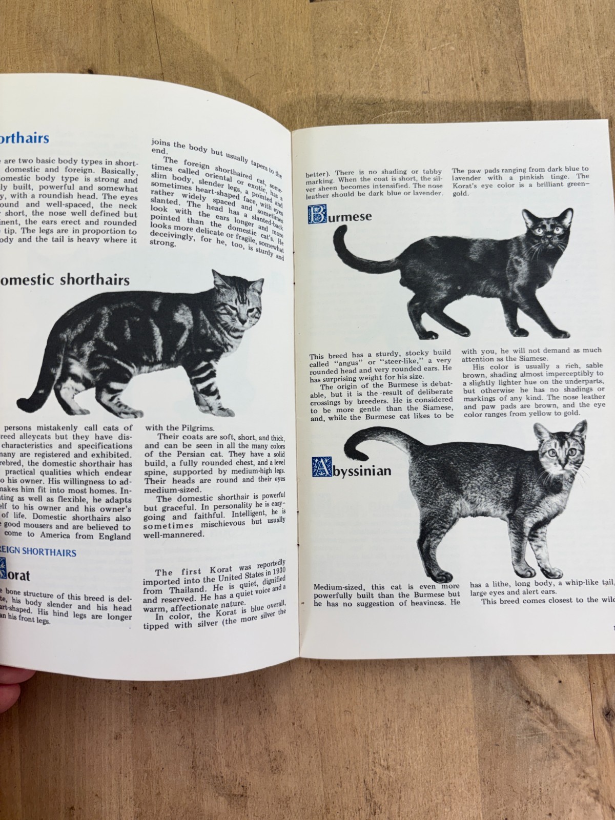 Lot 4 Vtg Cat Books, Uncanny Cats, The Pocket Pet Encyclopedia, Home Pet Guide
