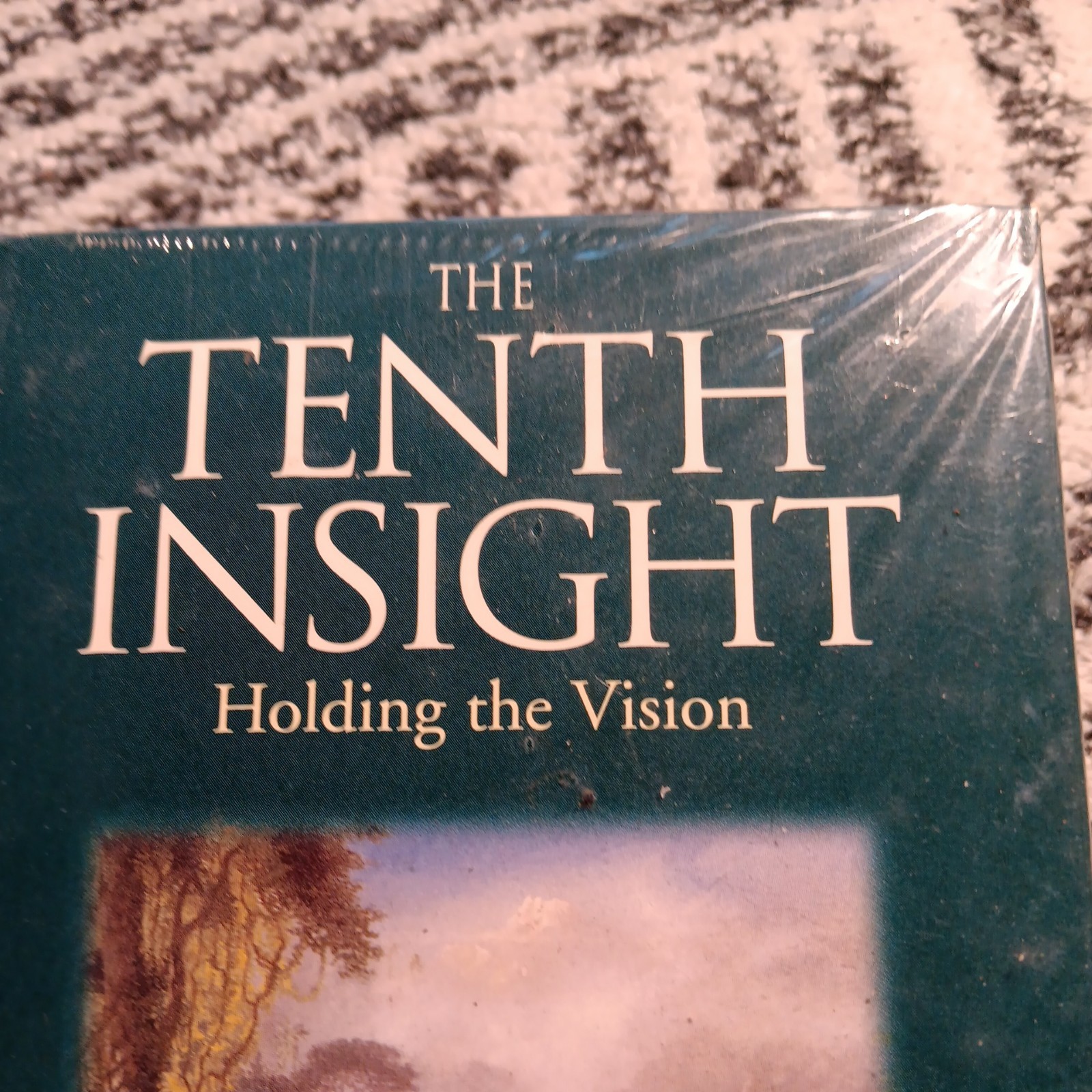 The Tenth Insight : Holding the Vision by James Redfield (1998, Paperback)