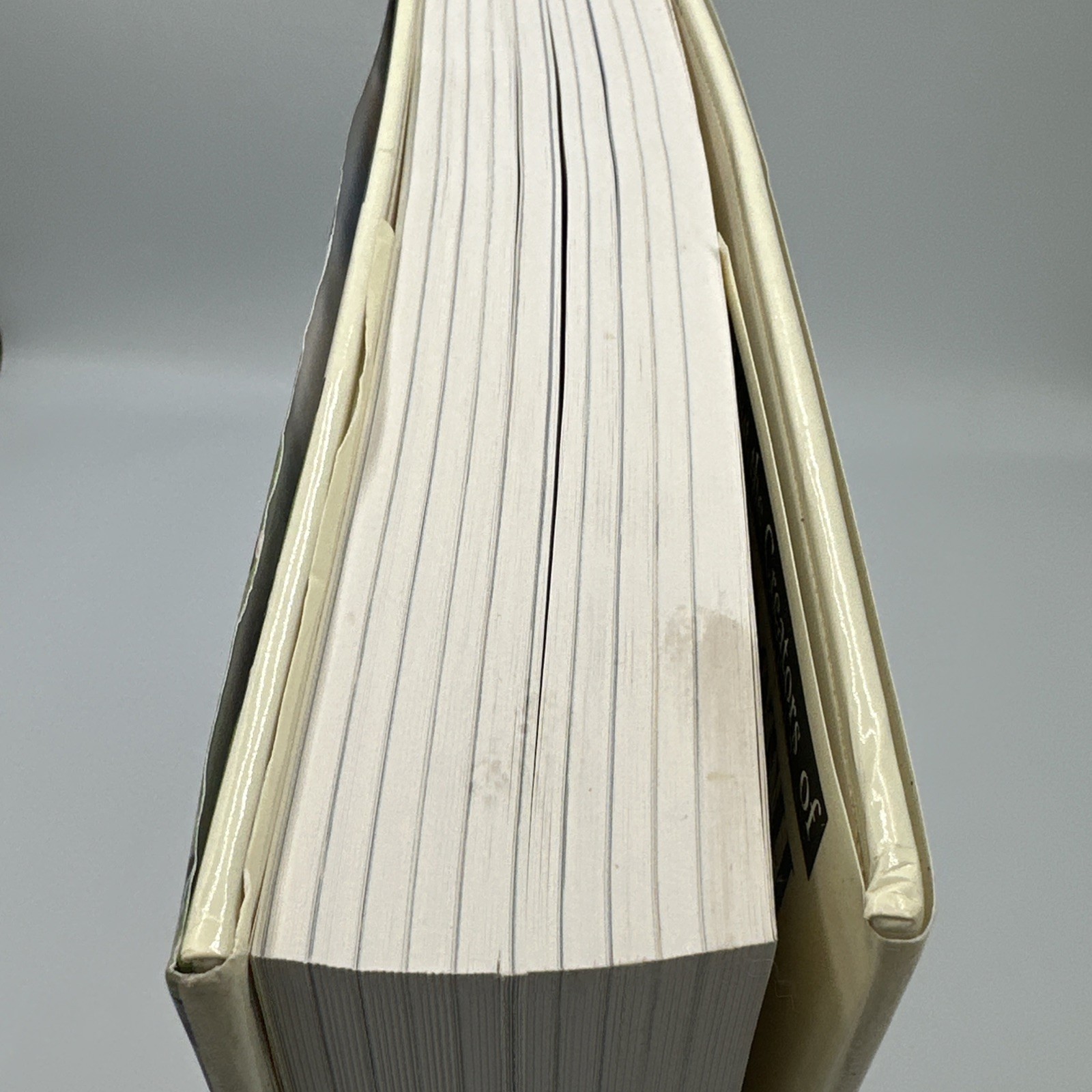 Millennium Edition The 20th Century An Illustrated History Of Our Lives & Times