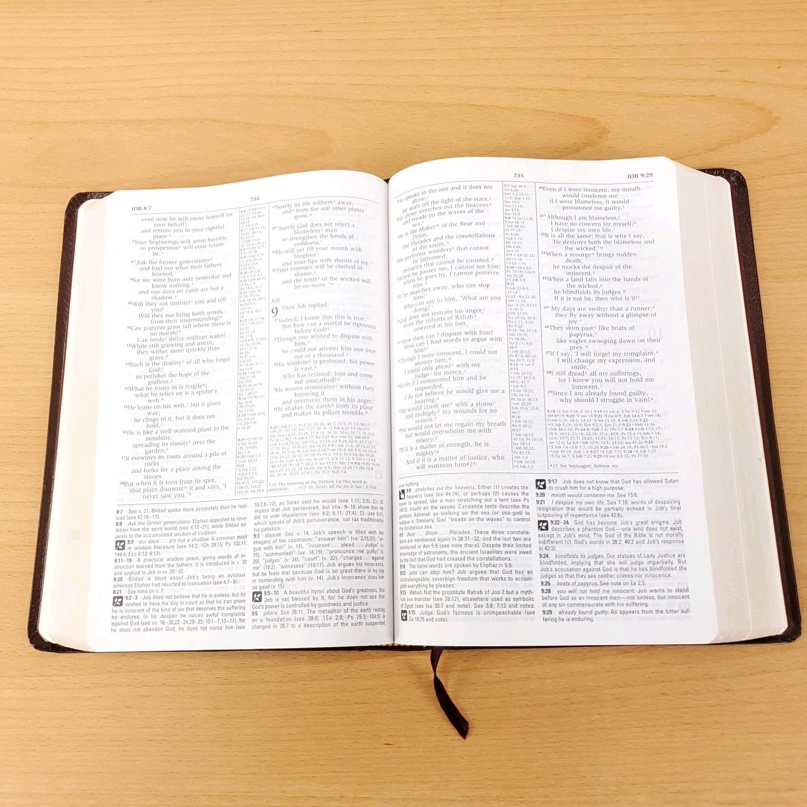 Zondervan The NIV Study Bible 10th Anniversary Edition 1995 Red Letter, Leather