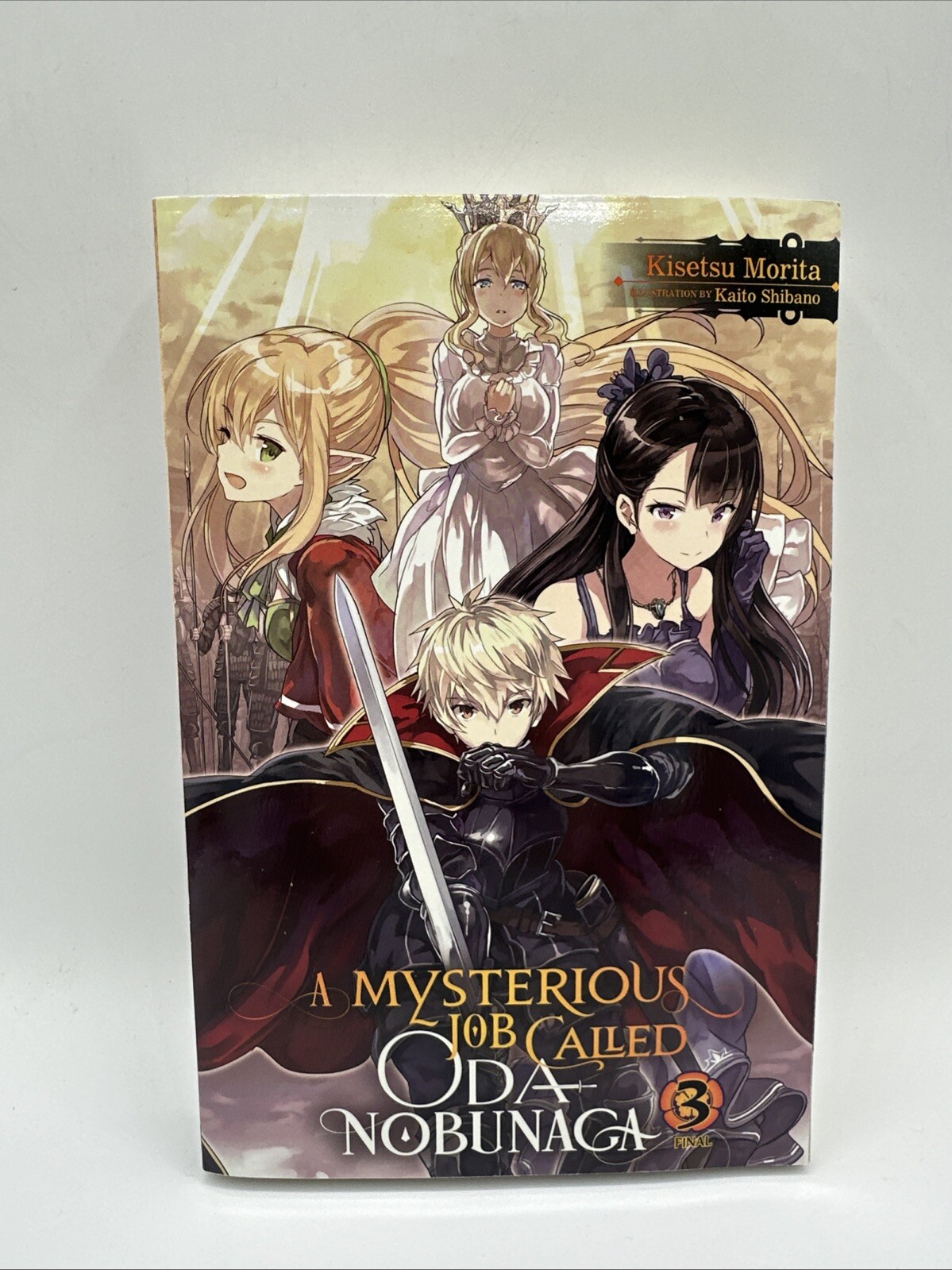 Mysterious Job Called Oda Nobunaga, Vol. 3 (light Novel) by Kisetsu Morita…