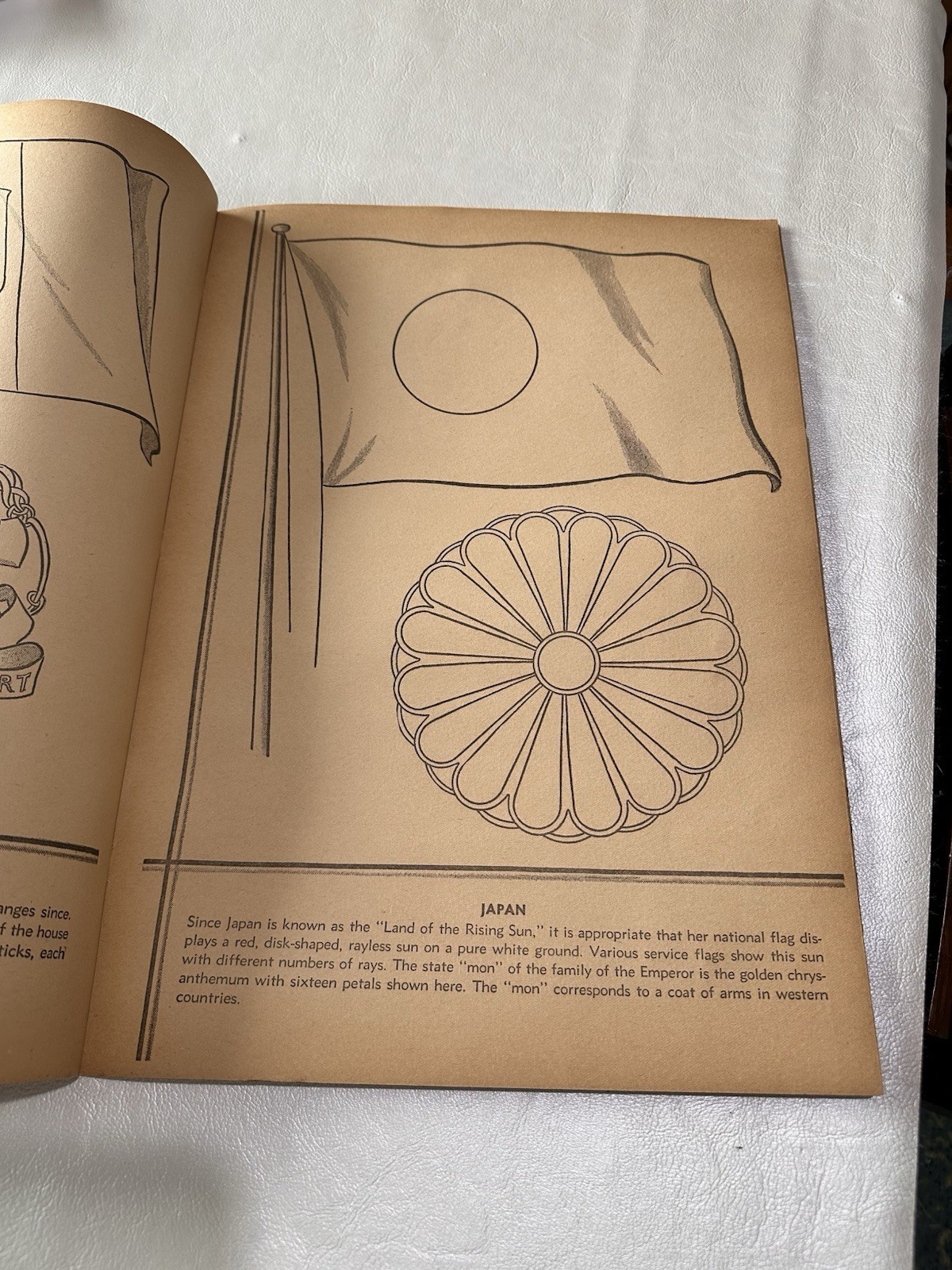 Vintage National Flags Coloring Book 48 Pages