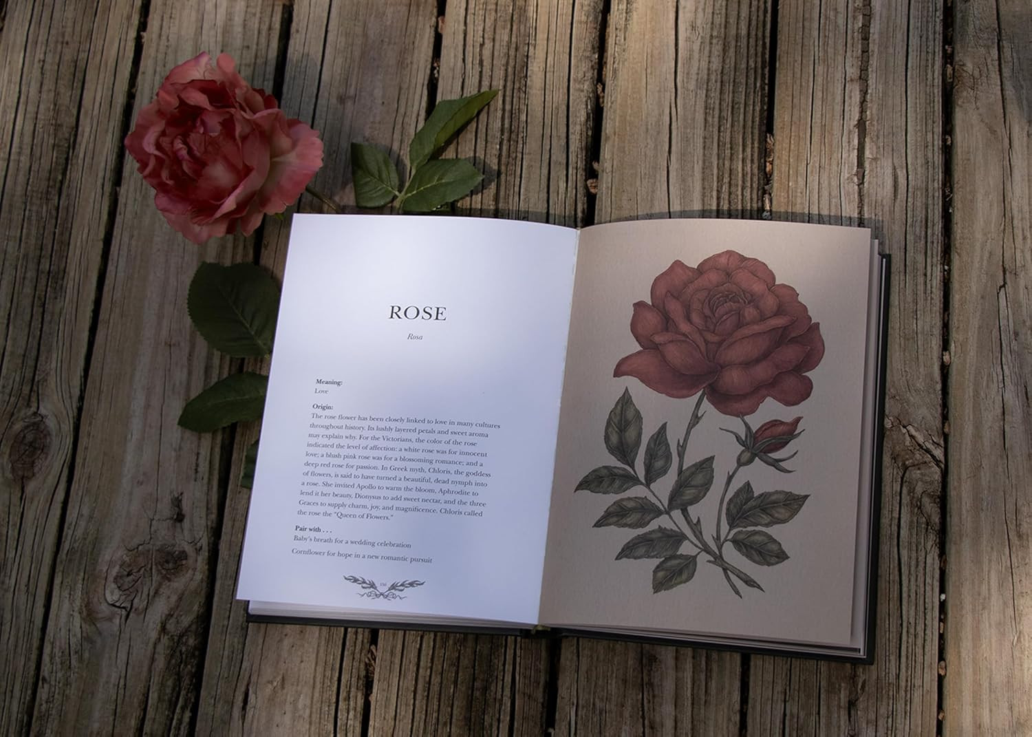 Floriography: An Illustrated Guide to the Victorian Language of Flowers (Volume