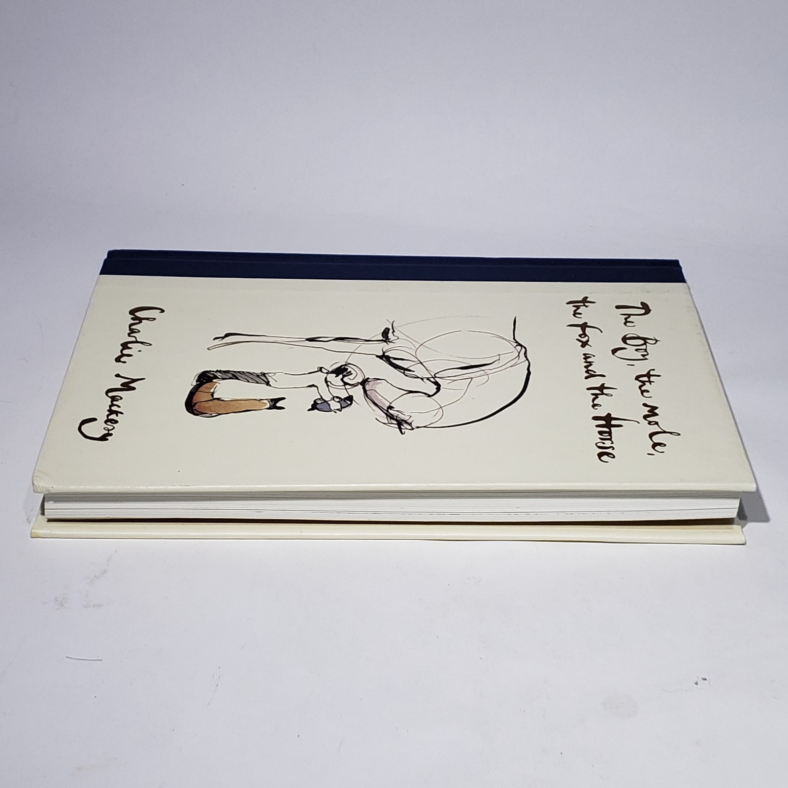The Boy the Mole the Fox and the Horse Charlie Mackesy HC 2019