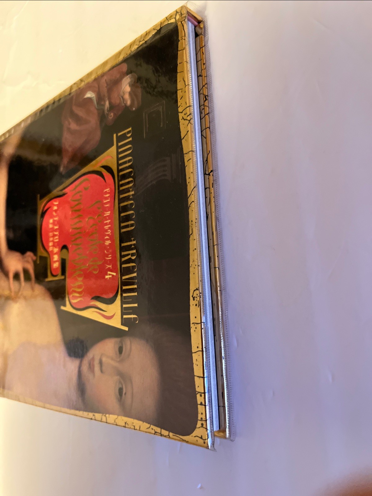 Pinacoteca Treville Series 4 By Erini Fujimara I HC 1995 Japanese Edition
