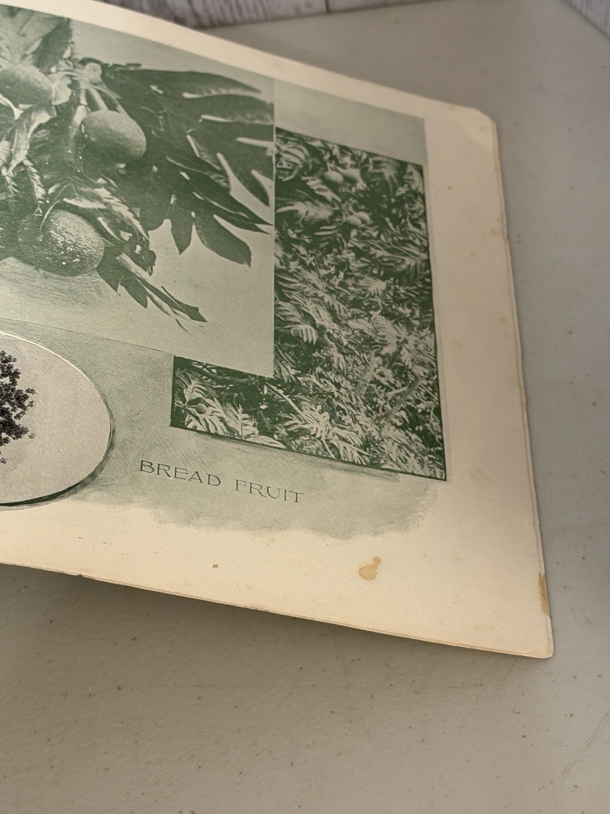 1899 THE HANDBOOK OF THE HAWAIIAN ISLANDS BY THE US. DEPT OF AFFAIRS HTF RARE