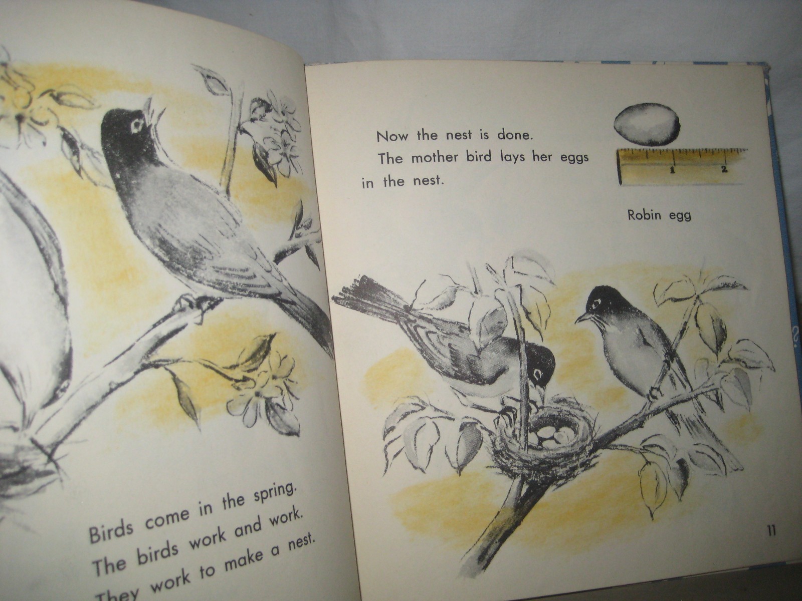What is a Season/ Gene Darby/ Hawkinson/ Benefic press/1960