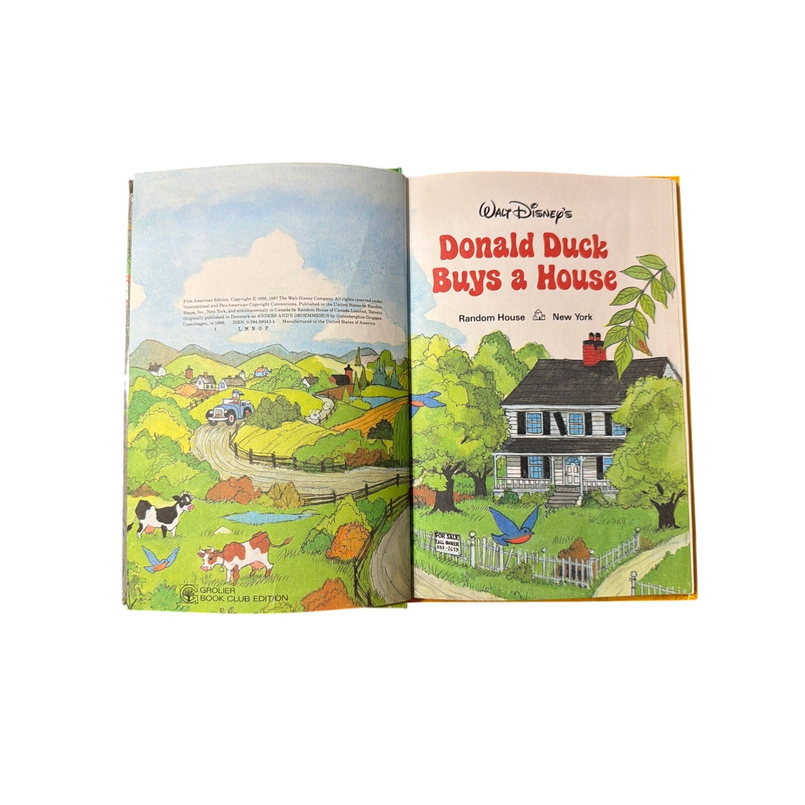 Walt Disney’s Donald Duck Buys a House World of Reading Hardcover Book Vintage