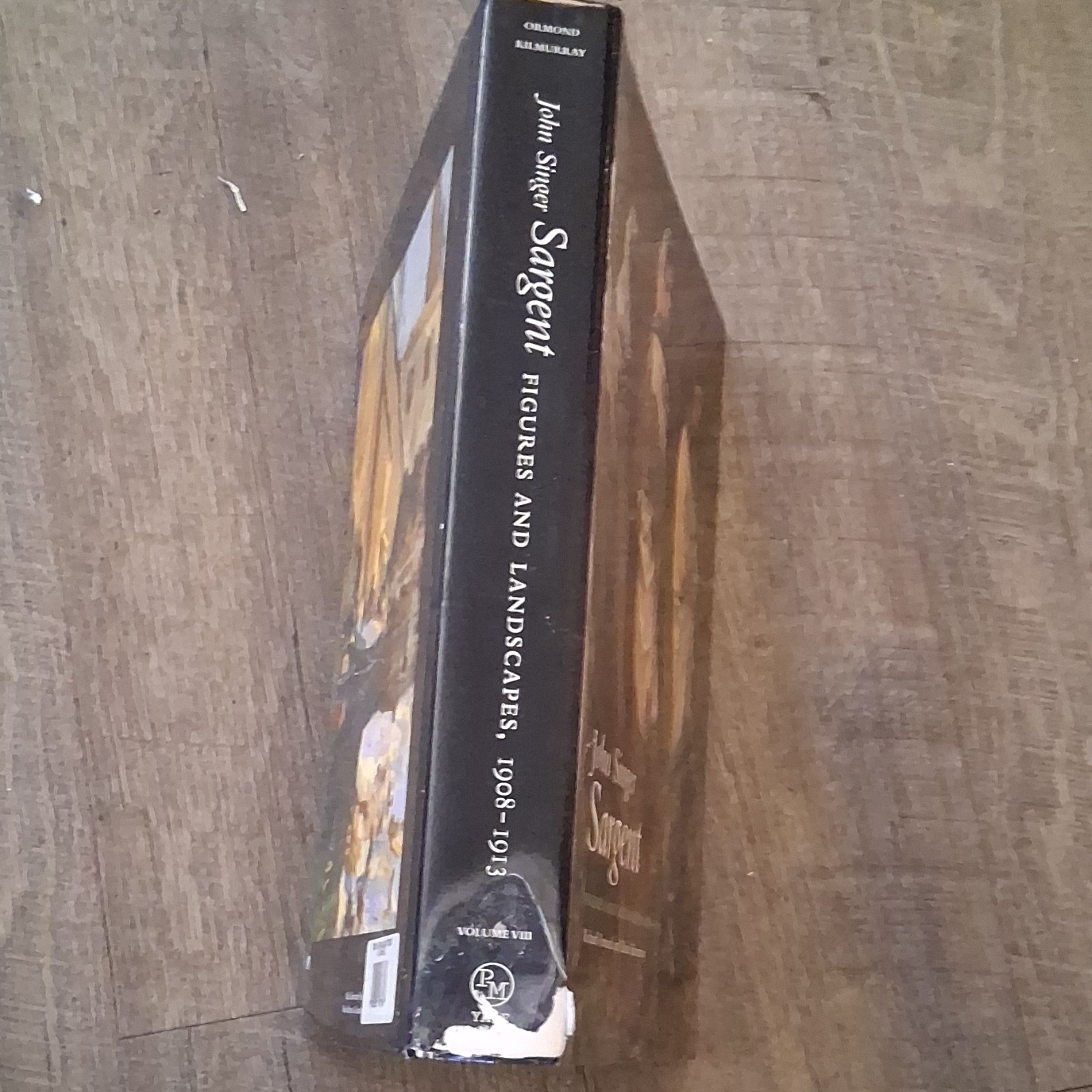 John Singer Sargent Figures and Landscapes 1908-1913 Ormond Hardcover Vol VIII