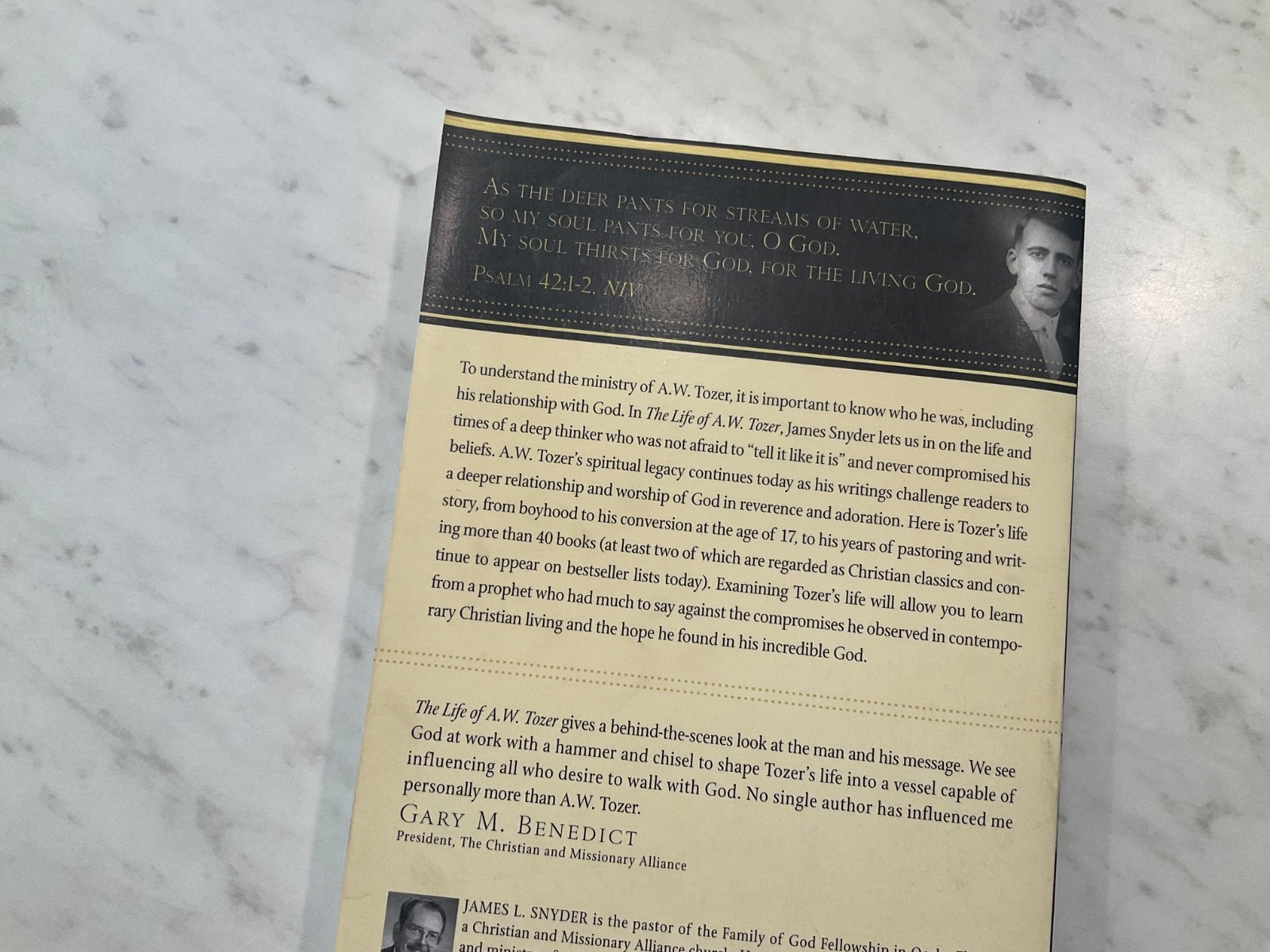 Life of A. W. Tozer : In Pursuit of God by James Snyder