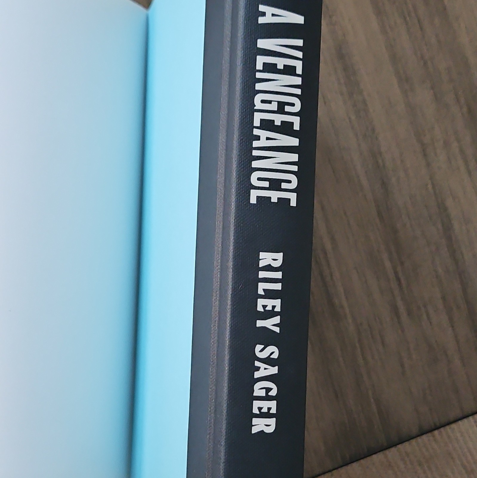 Riley Sager With a Vengeance Hardcover 2025 Horror Thriller Fiction Novel