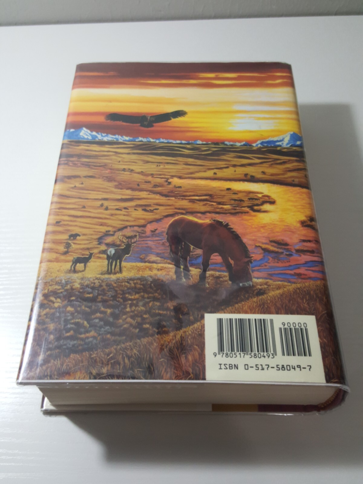Earth’s Children Ser.: The Plains of Passage by Jean M. Auel (1990, Hardcover)